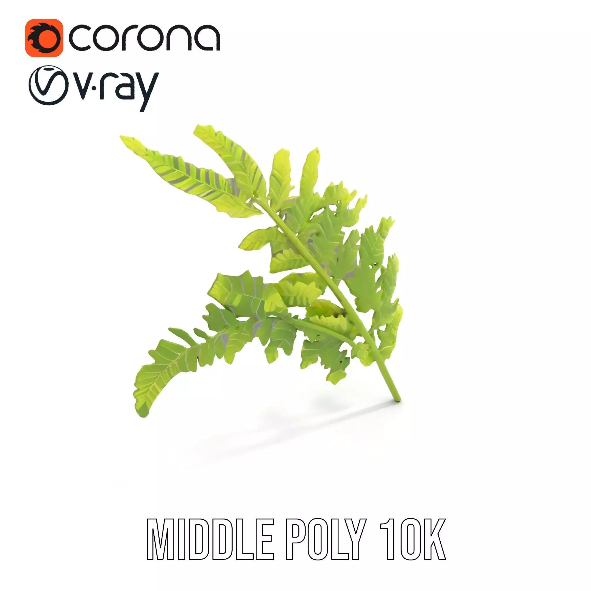 Lush Green Fern model pack Low-poly 3D model_11