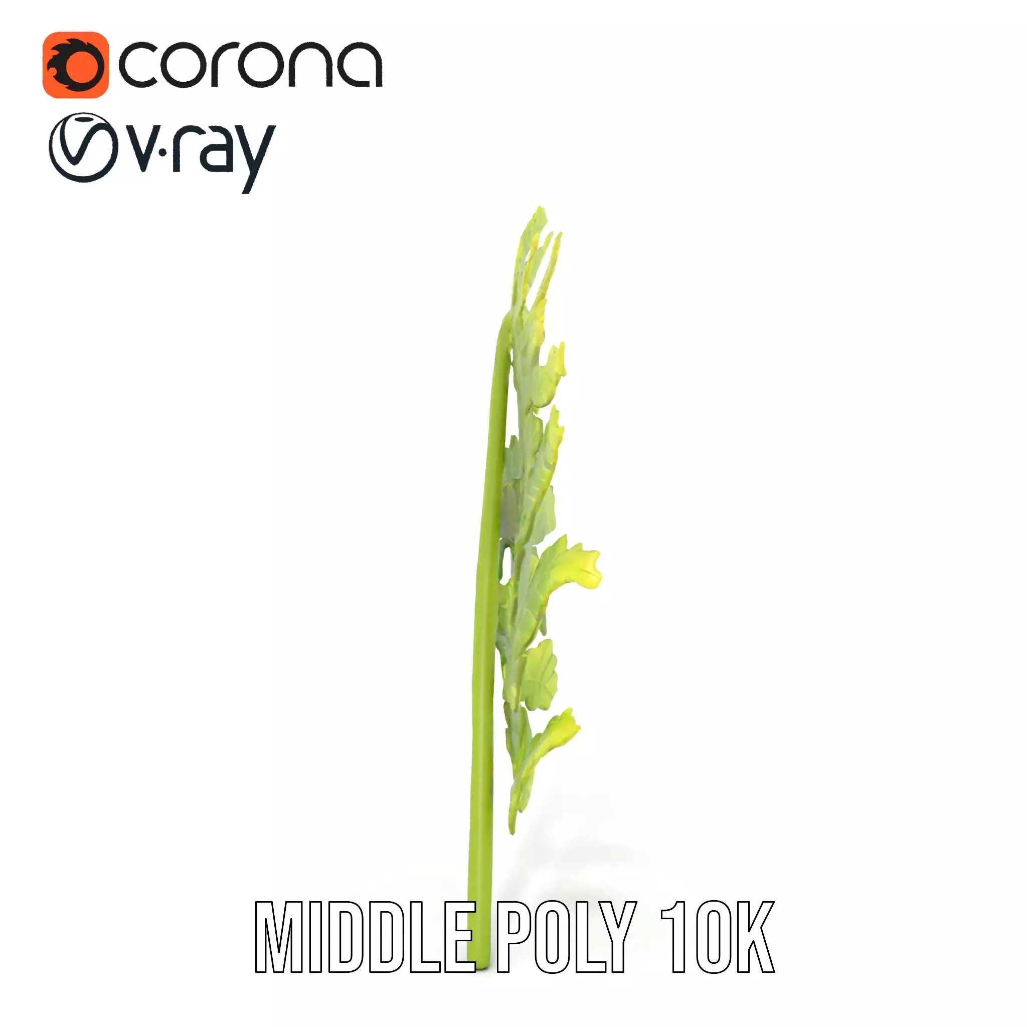 Lush Green Fern model pack Low-poly 3D model_13