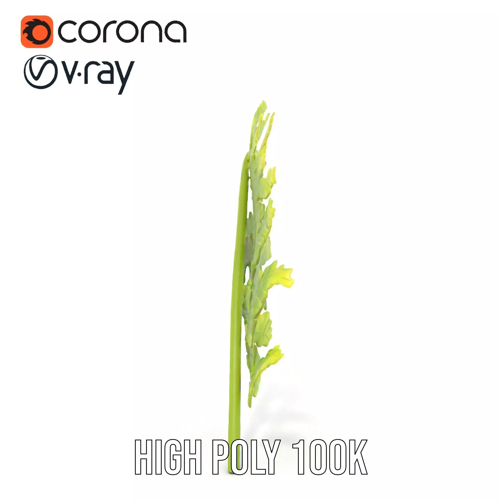 Lush Green Fern model pack Low-poly 3D model_33