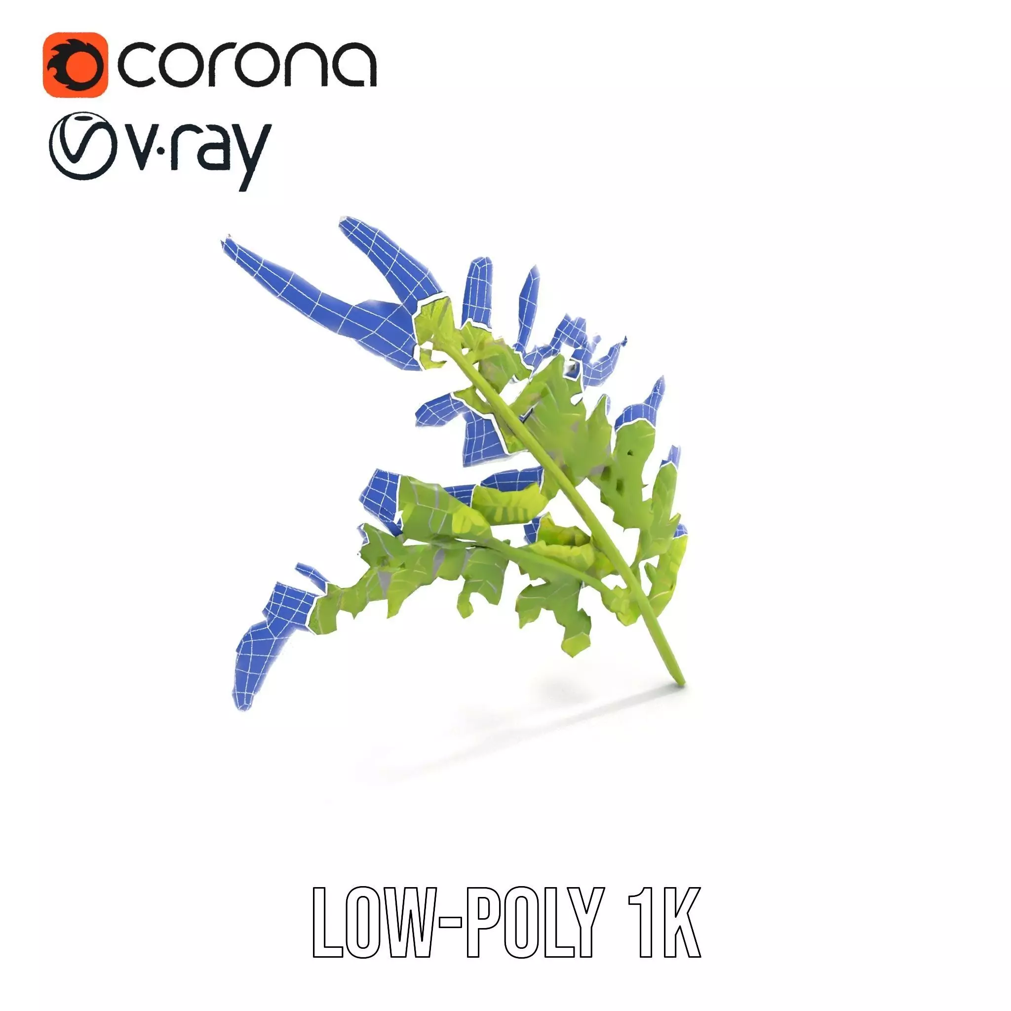 Lush Green Fern model pack Low-poly 3D model_31