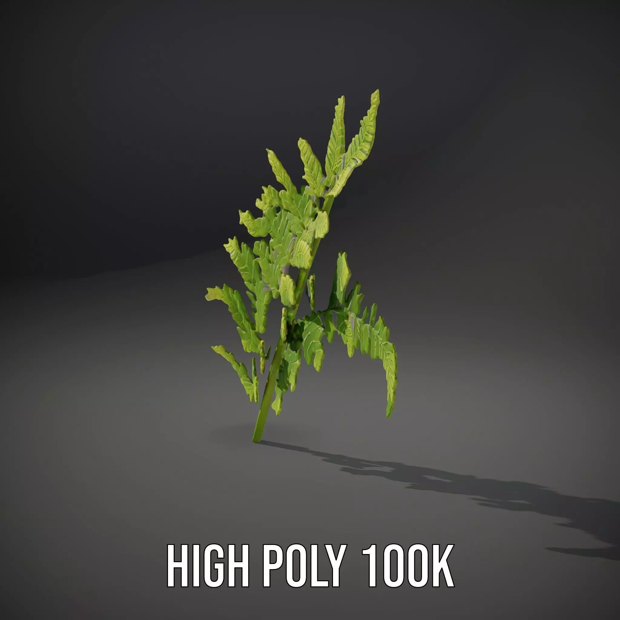 Lush Green Fern model pack Low-poly 3D model_8