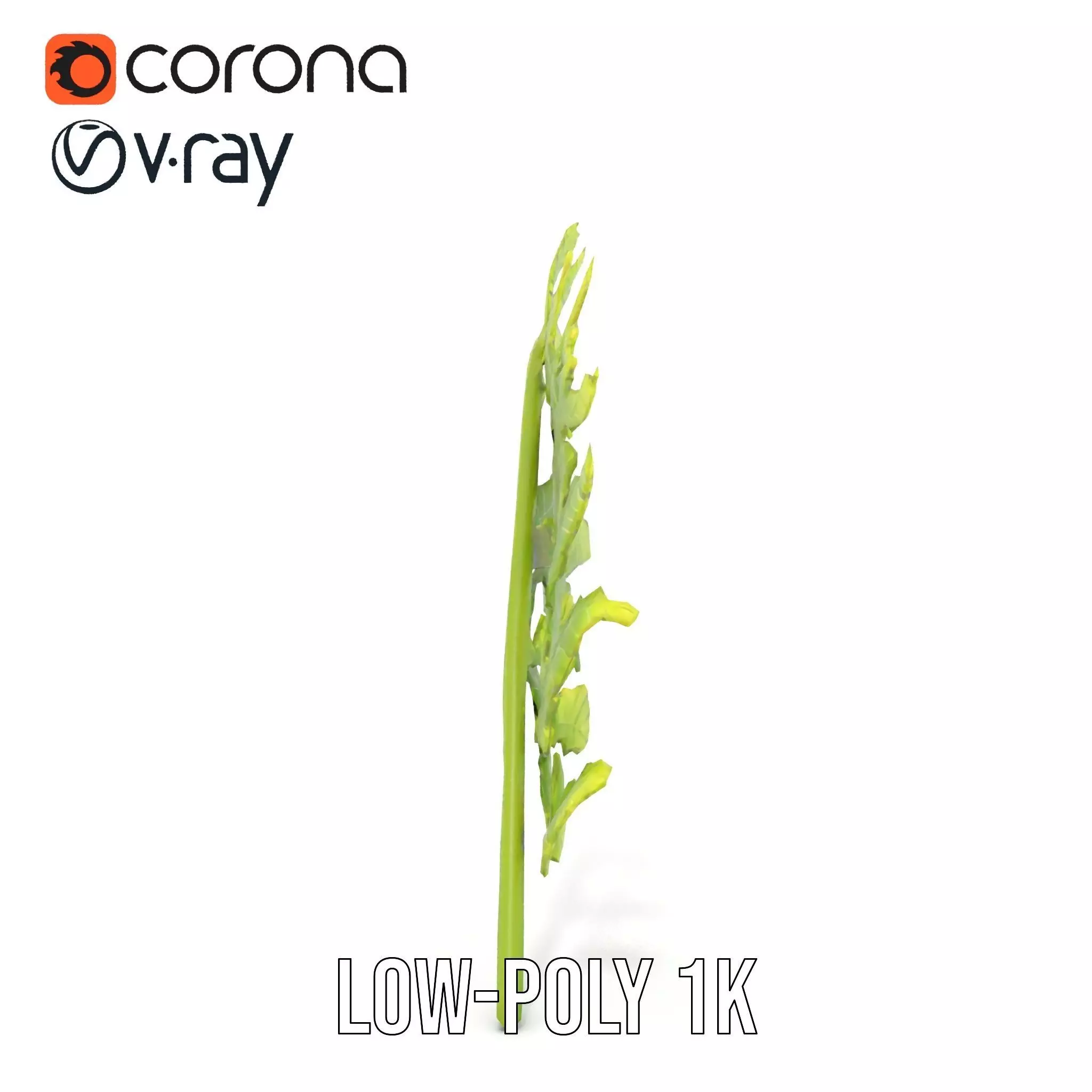 Lush Green Fern model pack Low-poly 3D model_14