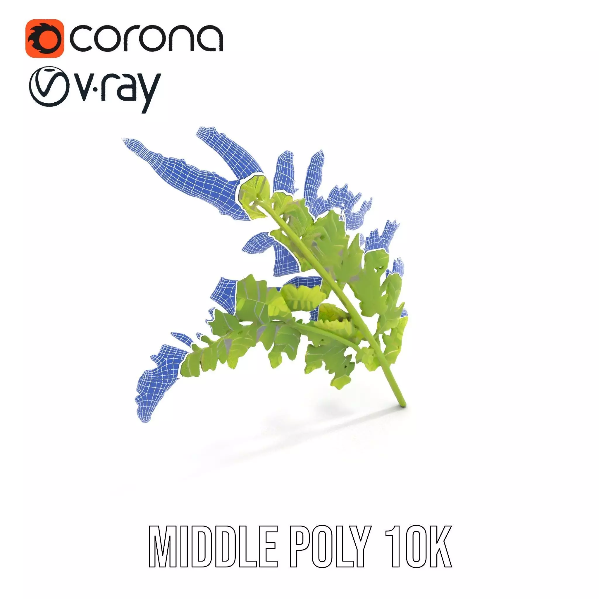 Lush Green Fern model pack Low-poly 3D model_15