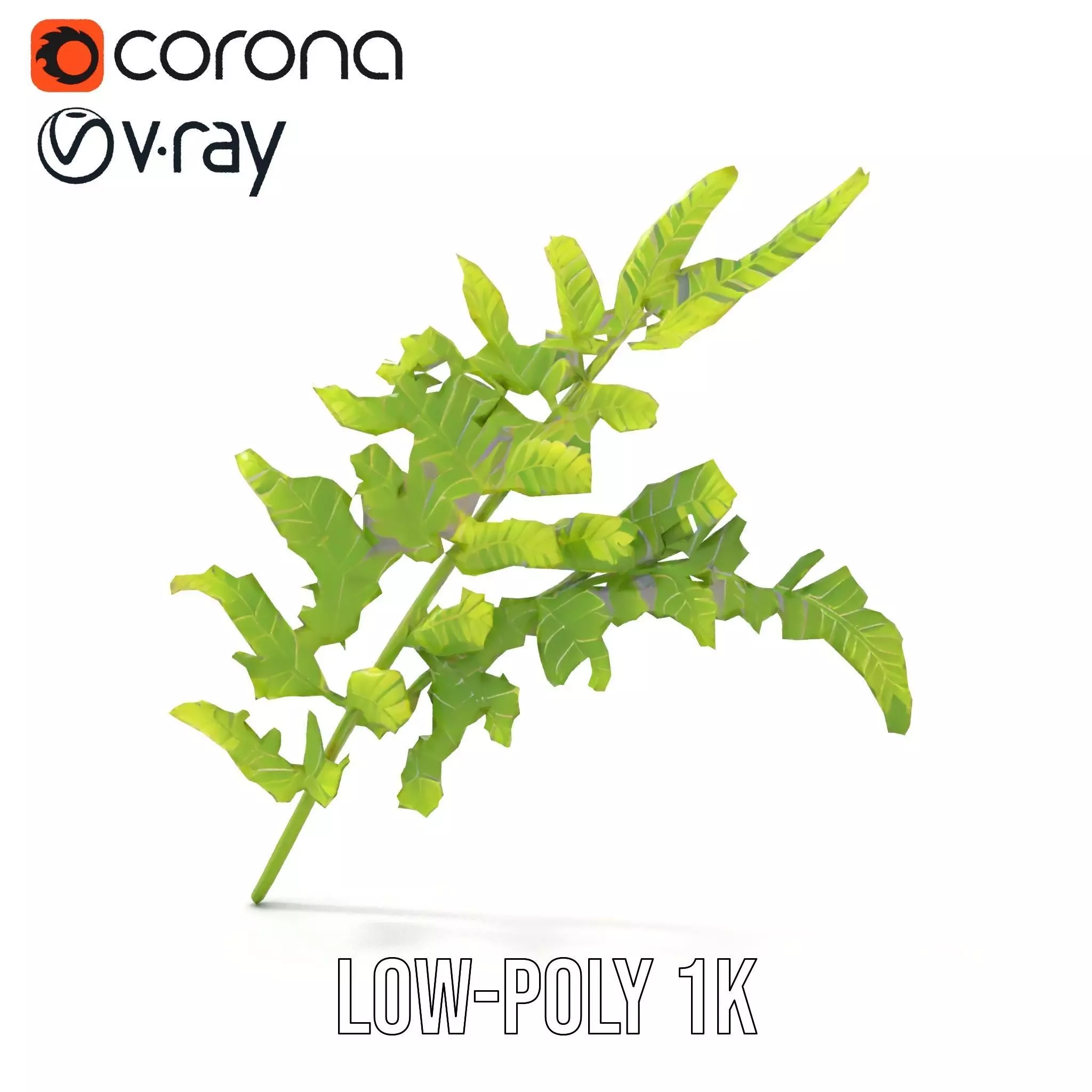 Lush Green Fern model pack Low-poly 3D model_9