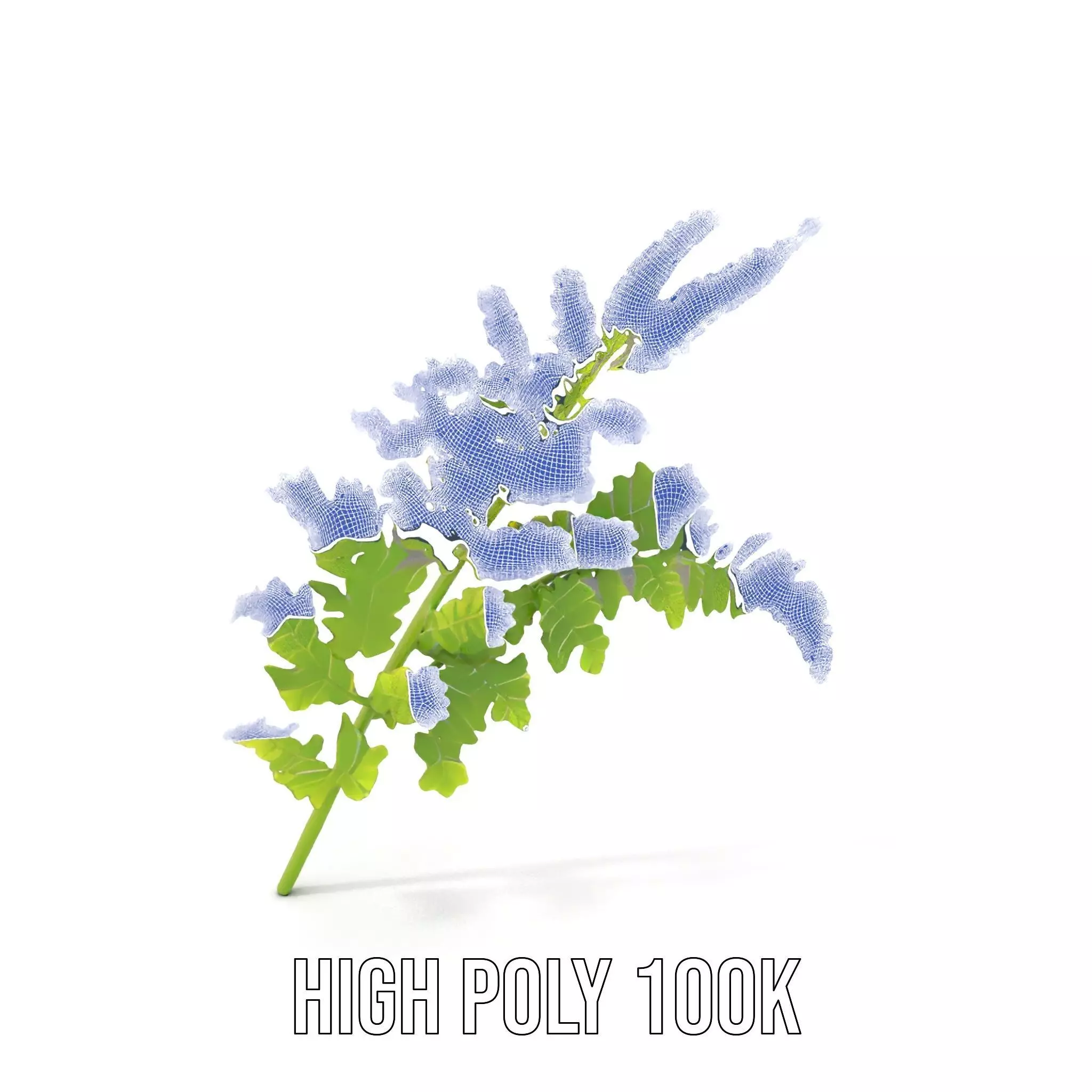 Lush Green Fern model pack Low-poly 3D model_4