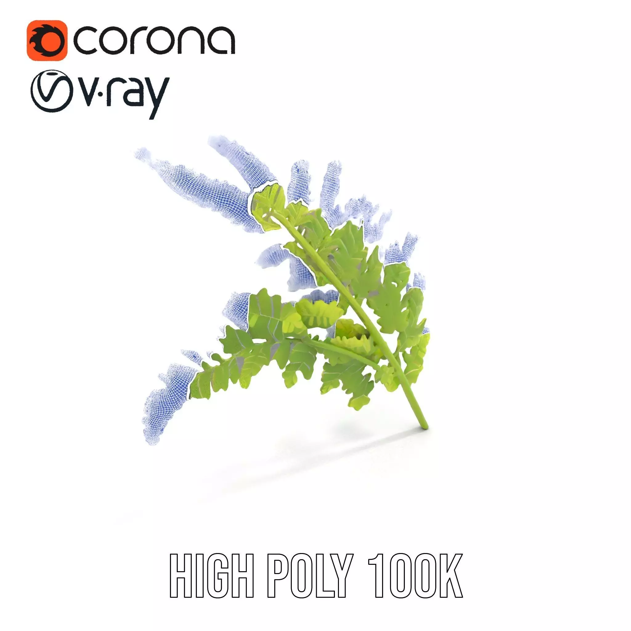 Lush Green Fern model pack Low-poly 3D model_23