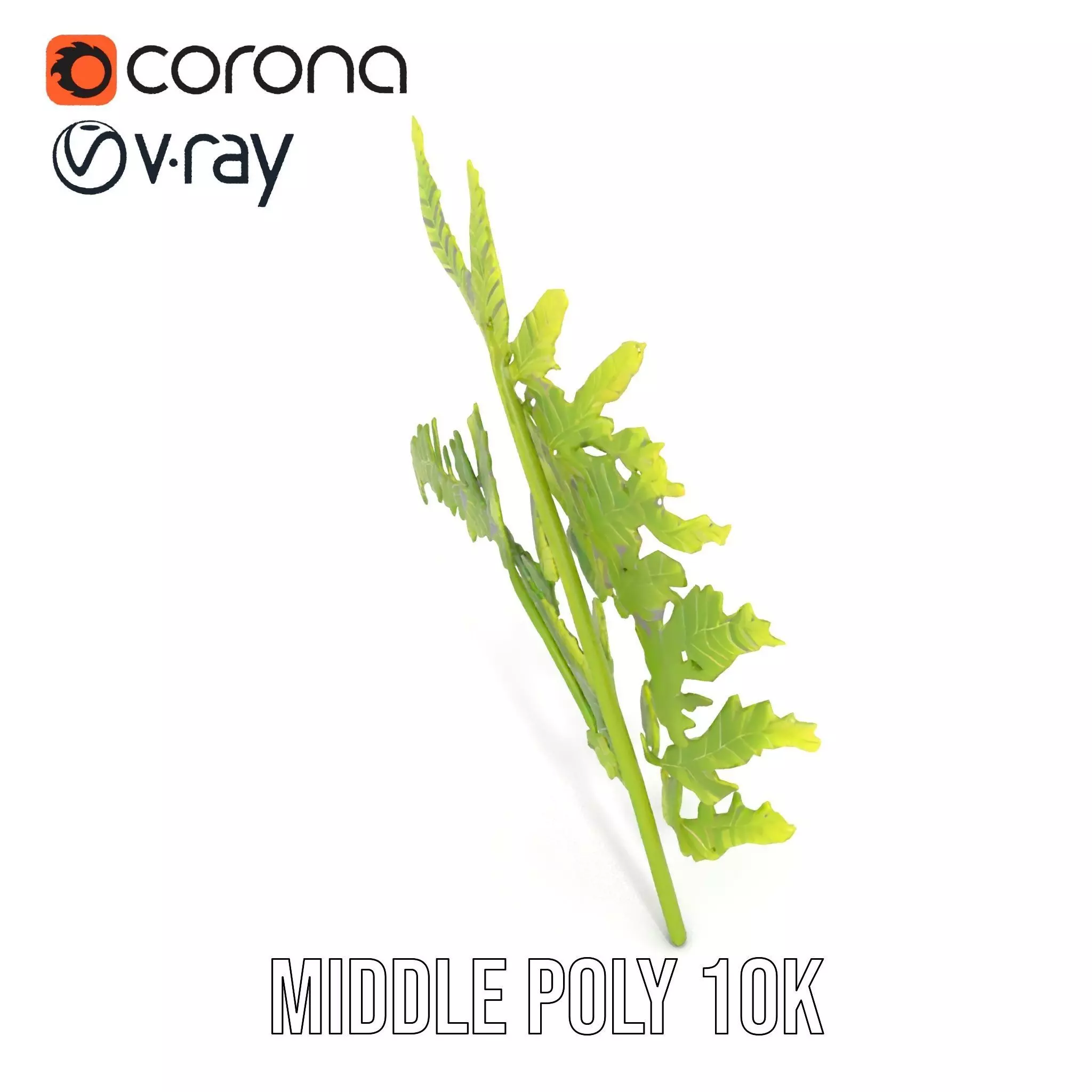 Lush Green Fern model pack Low-poly 3D model_24