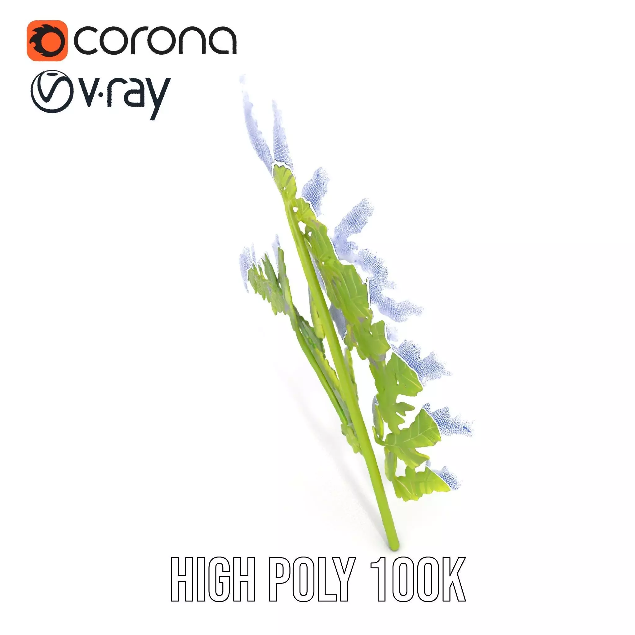 Lush Green Fern model pack Low-poly 3D model_32