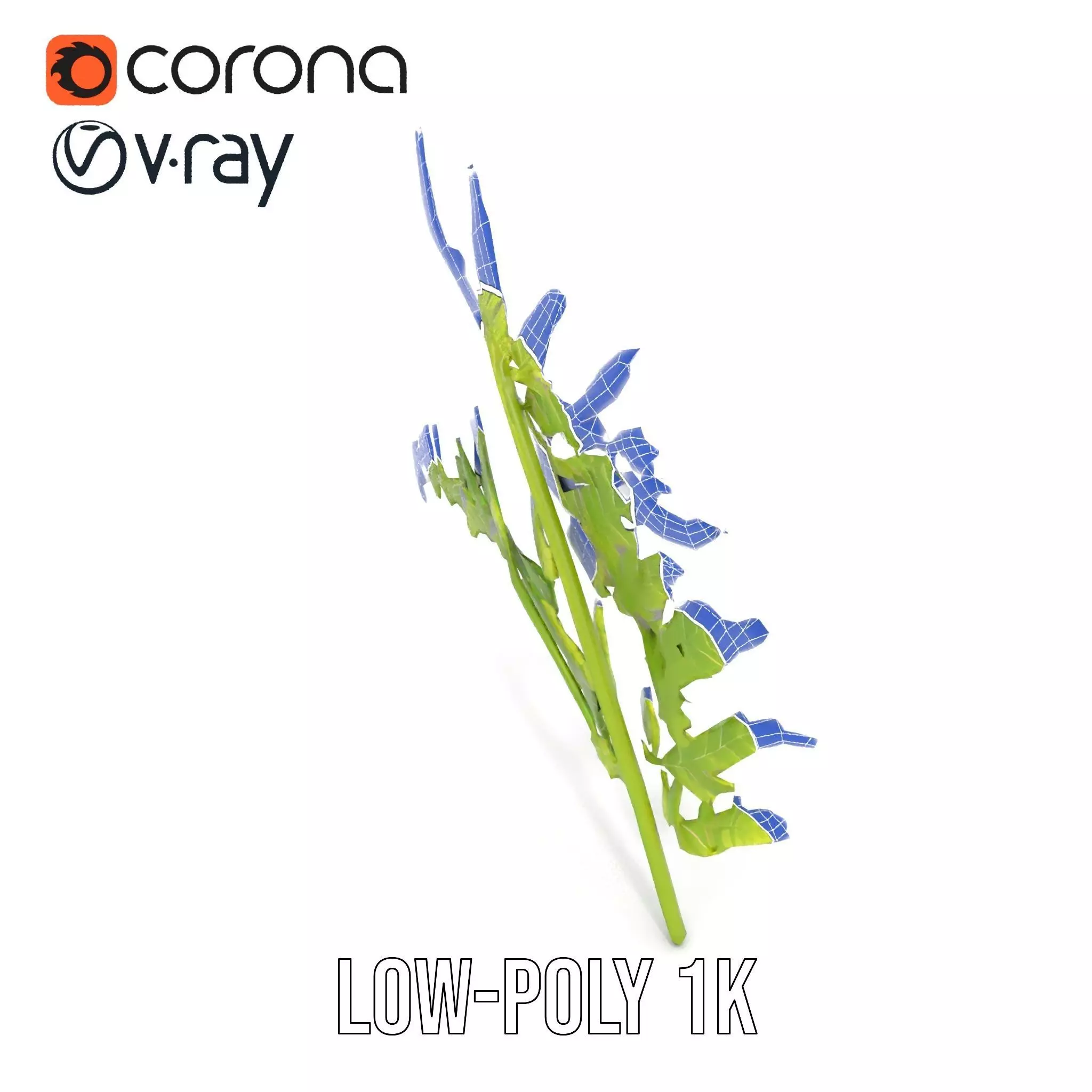 Lush Green Fern model pack Low-poly 3D model_16