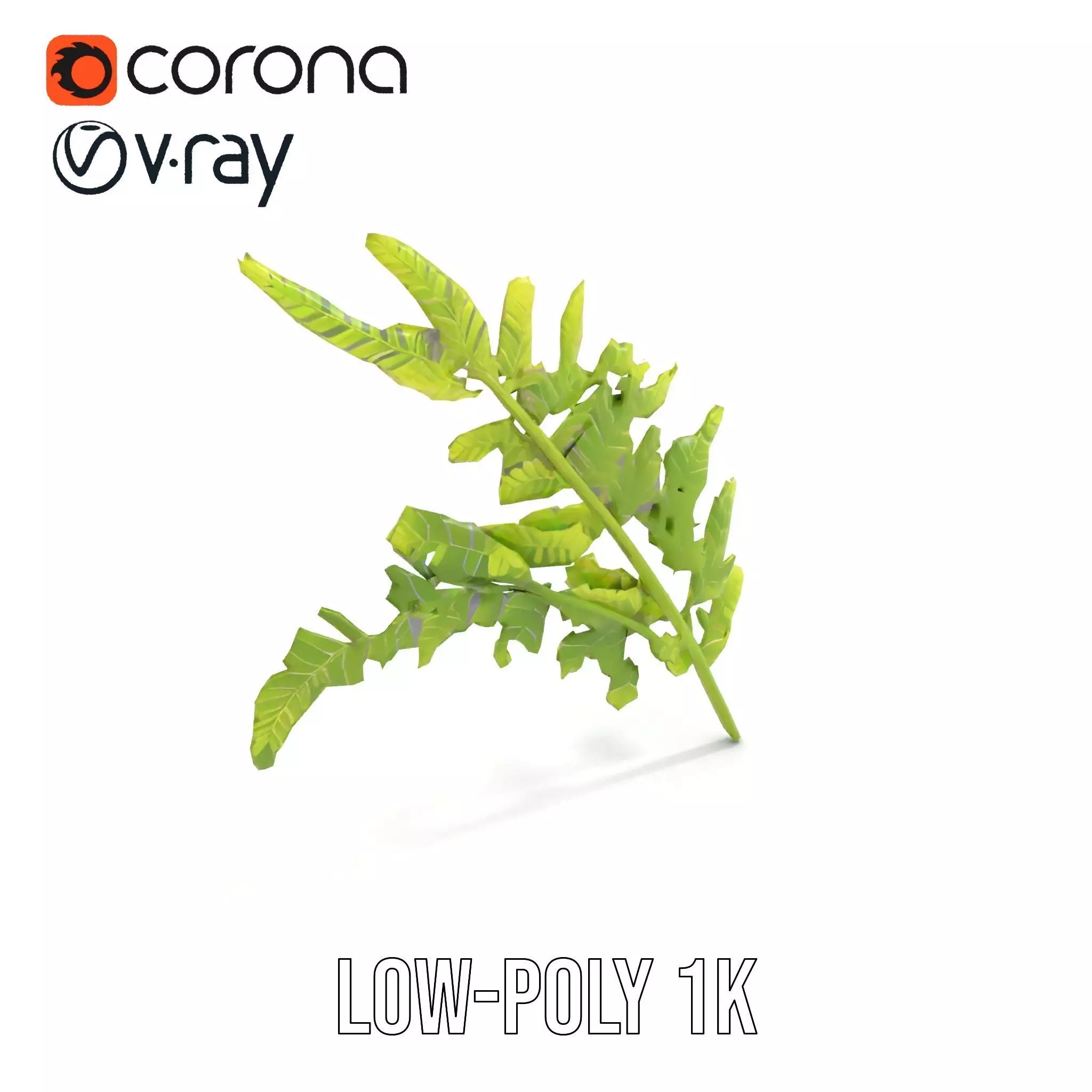 Lush Green Fern model pack Low-poly 3D model_12