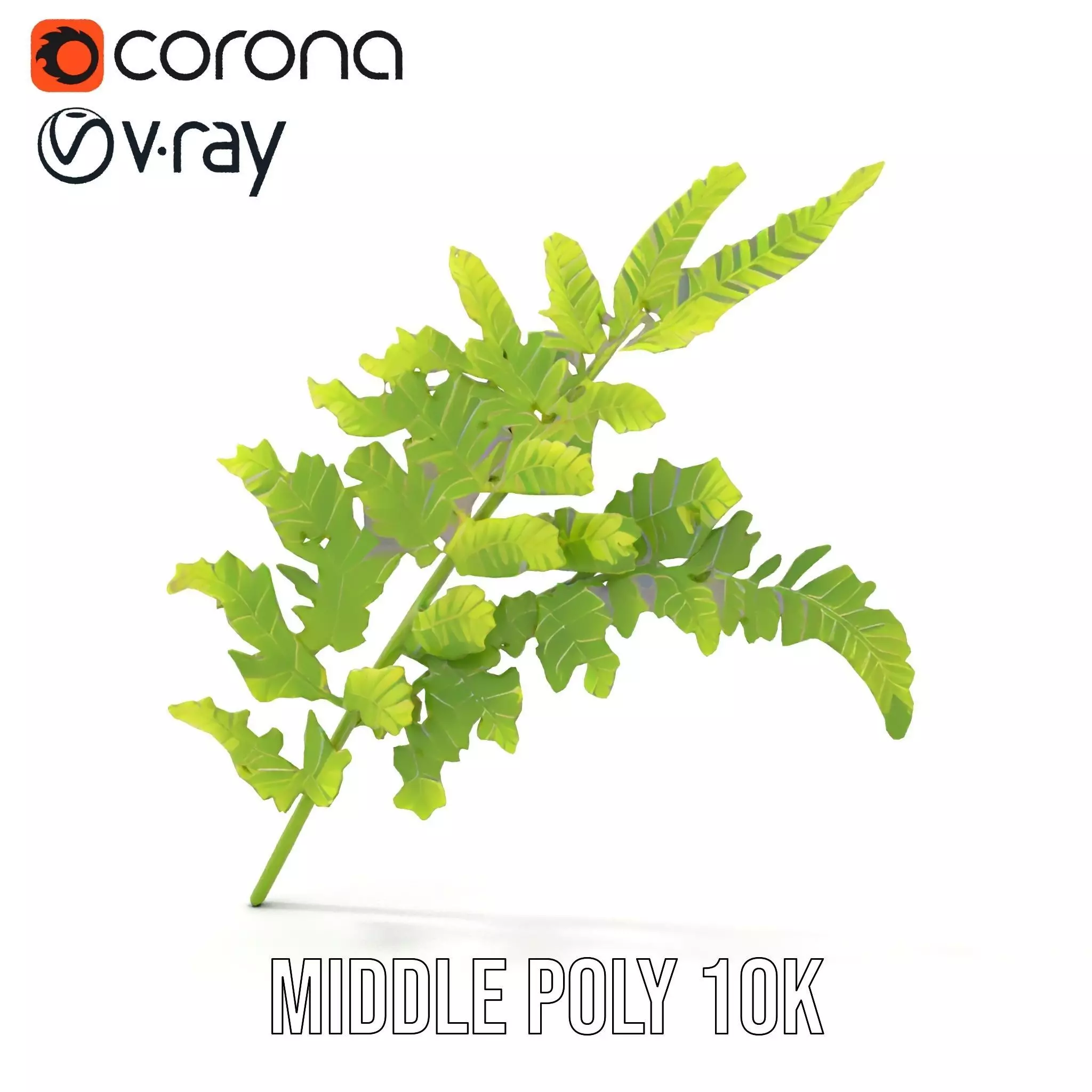 Lush Green Fern model pack Low-poly 3D model_21