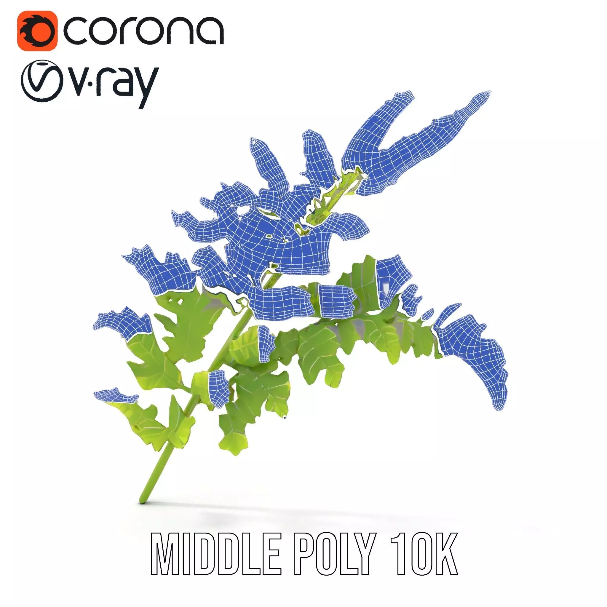 Lush Green Fern model pack Low-poly 3D model_18