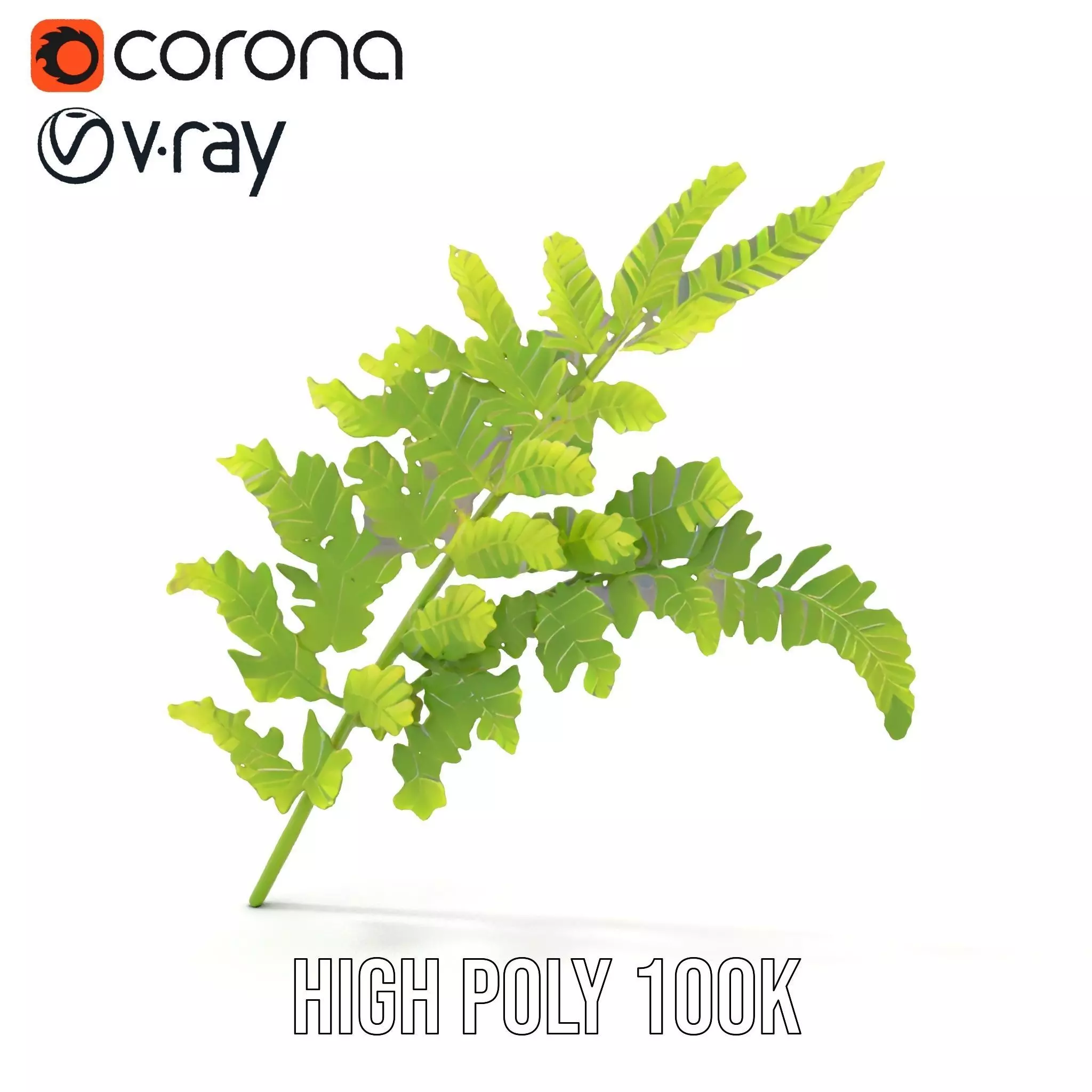 Lush Green Fern model pack Low-poly 3D model_29