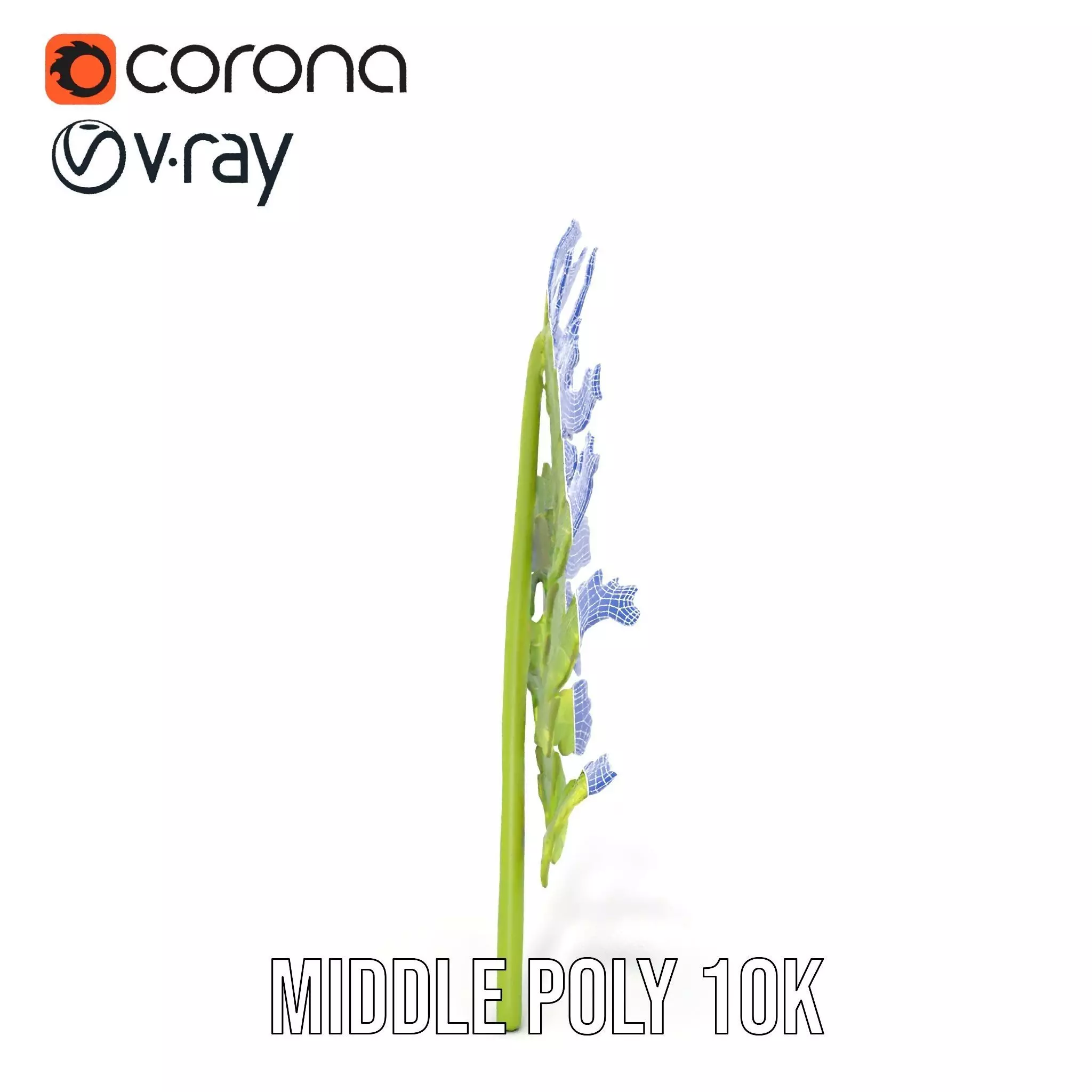 Lush Green Fern model pack Low-poly 3D model_30