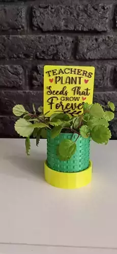 teachers plant seeds