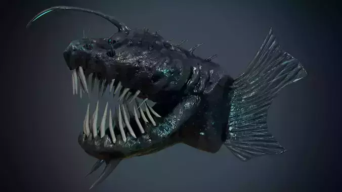 Angler Deep Sea Fish 