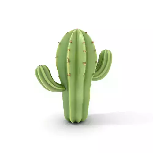 Emerald Cactus model pack Low-poly 3D model