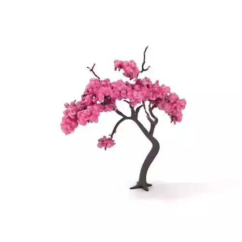 Elegant Sakura Tree model pack Low-poly 3D model