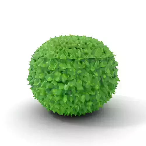 Lush Green Foliage model pack Low-poly 3D model