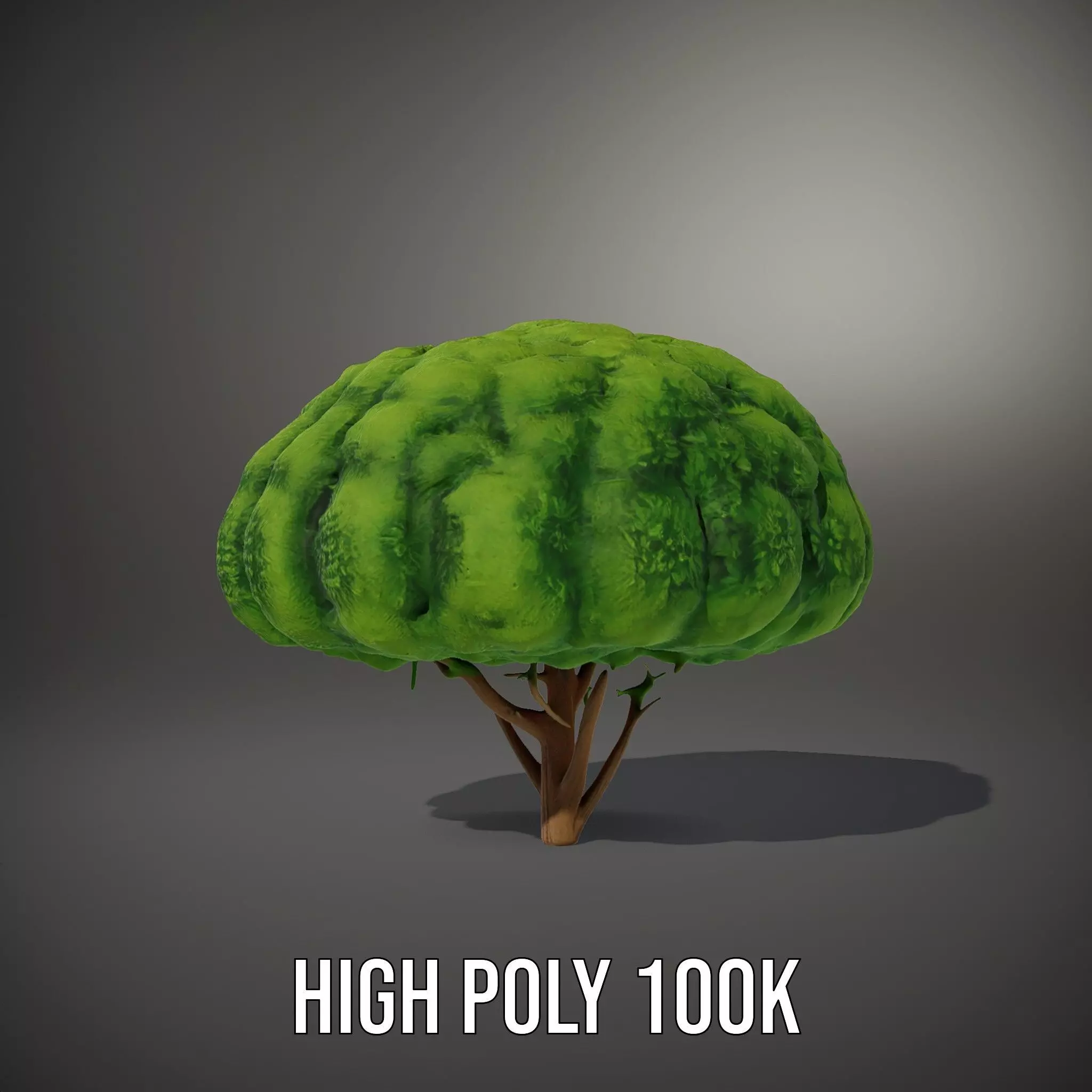 Green Topiary Tree model pack Low-poly 3D model_8