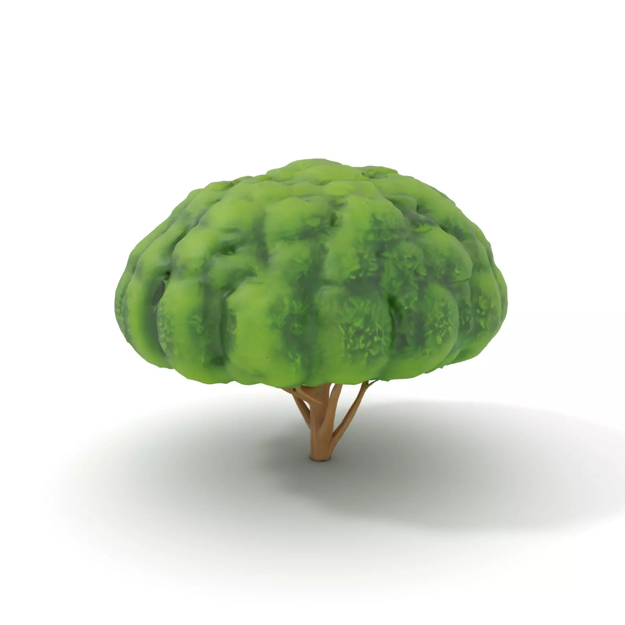Green Topiary Tree model pack Low-poly 3D model_0