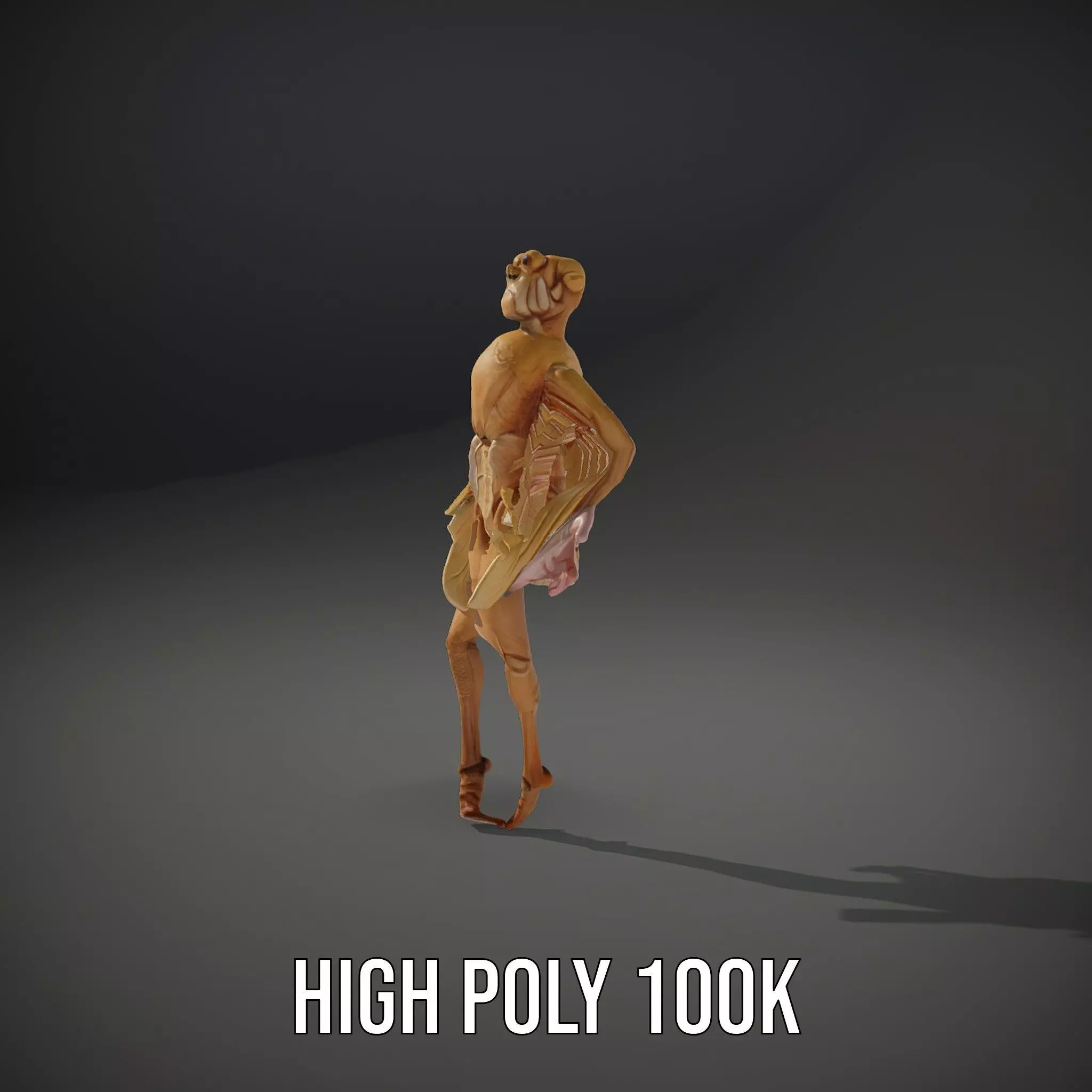 Insectoid Creature model pack Low-poly 3D model_10