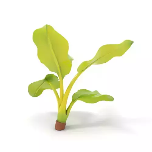 Bright Banana Leaf model pack Low-poly 3D model