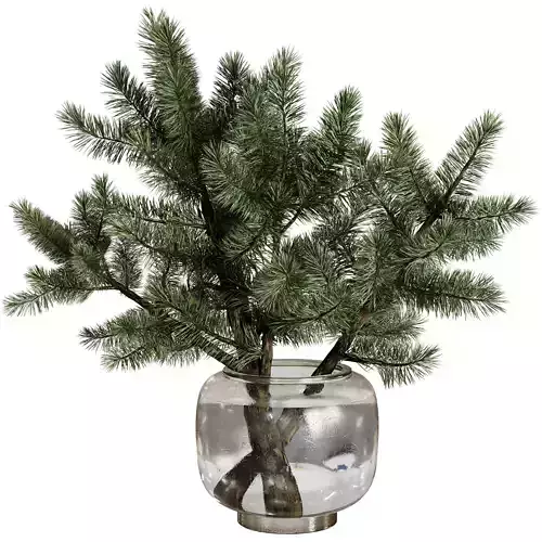 Pine branches in a Frosted glass vase - Bouquet 83 