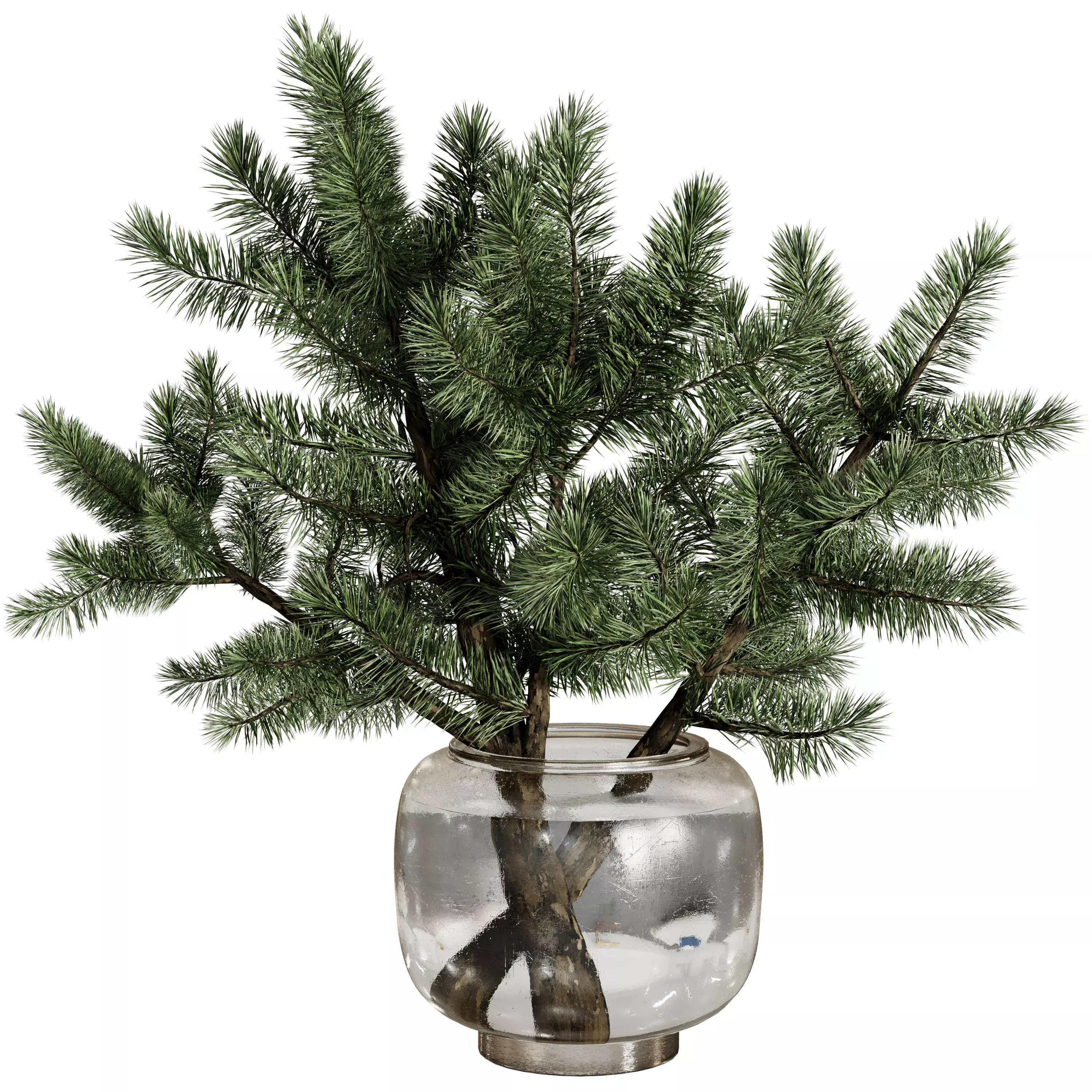 Pine branches in a Frosted glass vase - Bouquet 83 3D model
