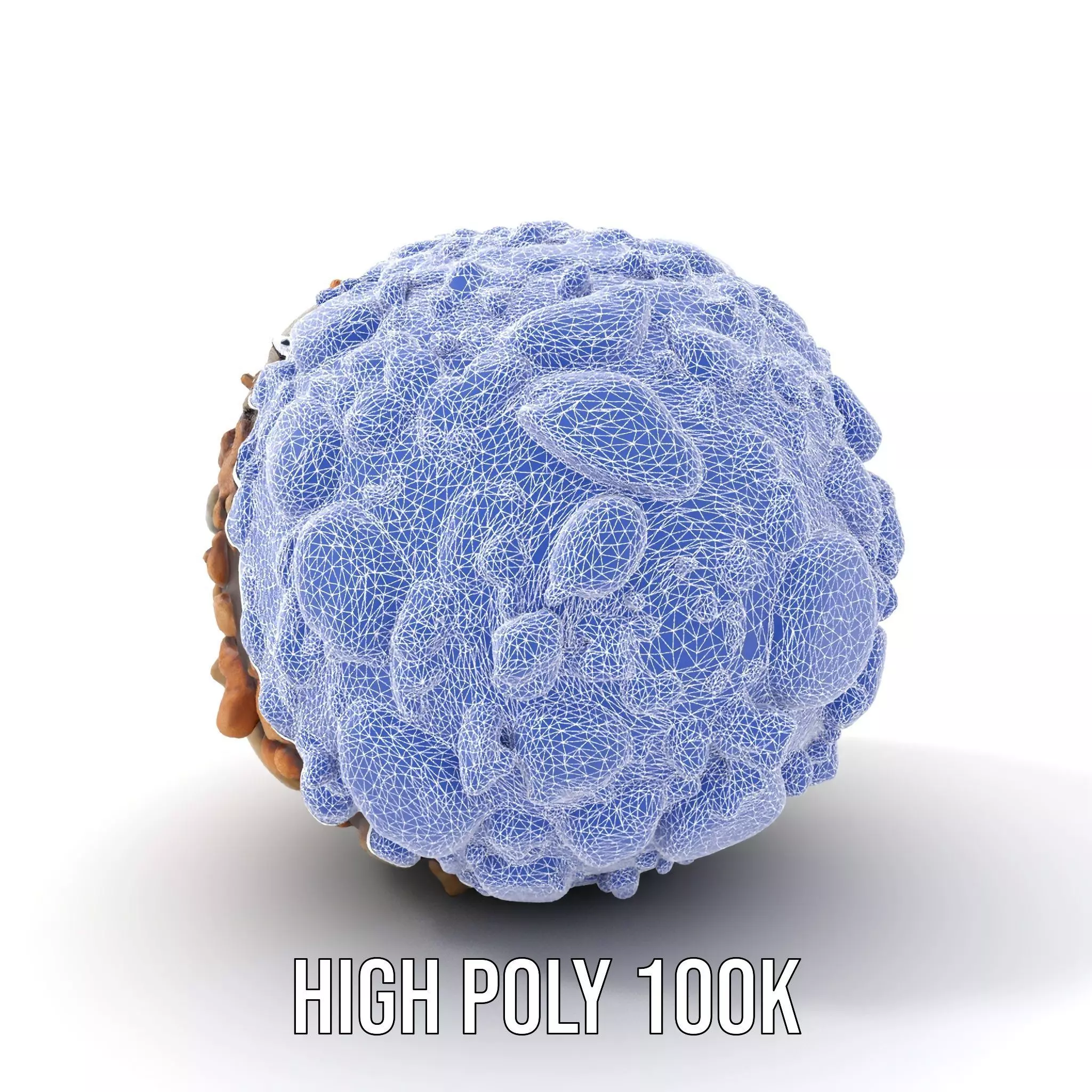 Natural Pebble Surface model pack Texture_18