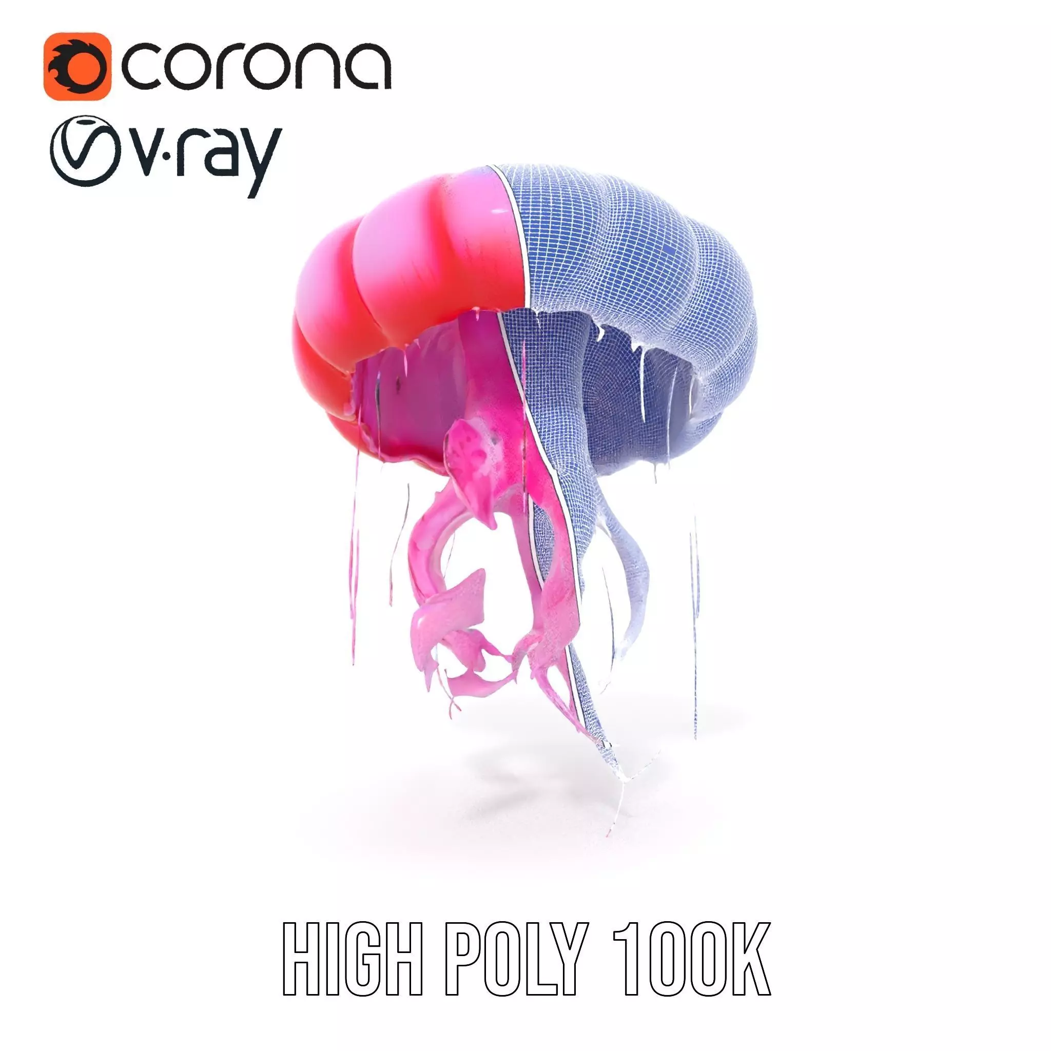 Vibrant Jellyfish model pack Low-poly 3D model_33