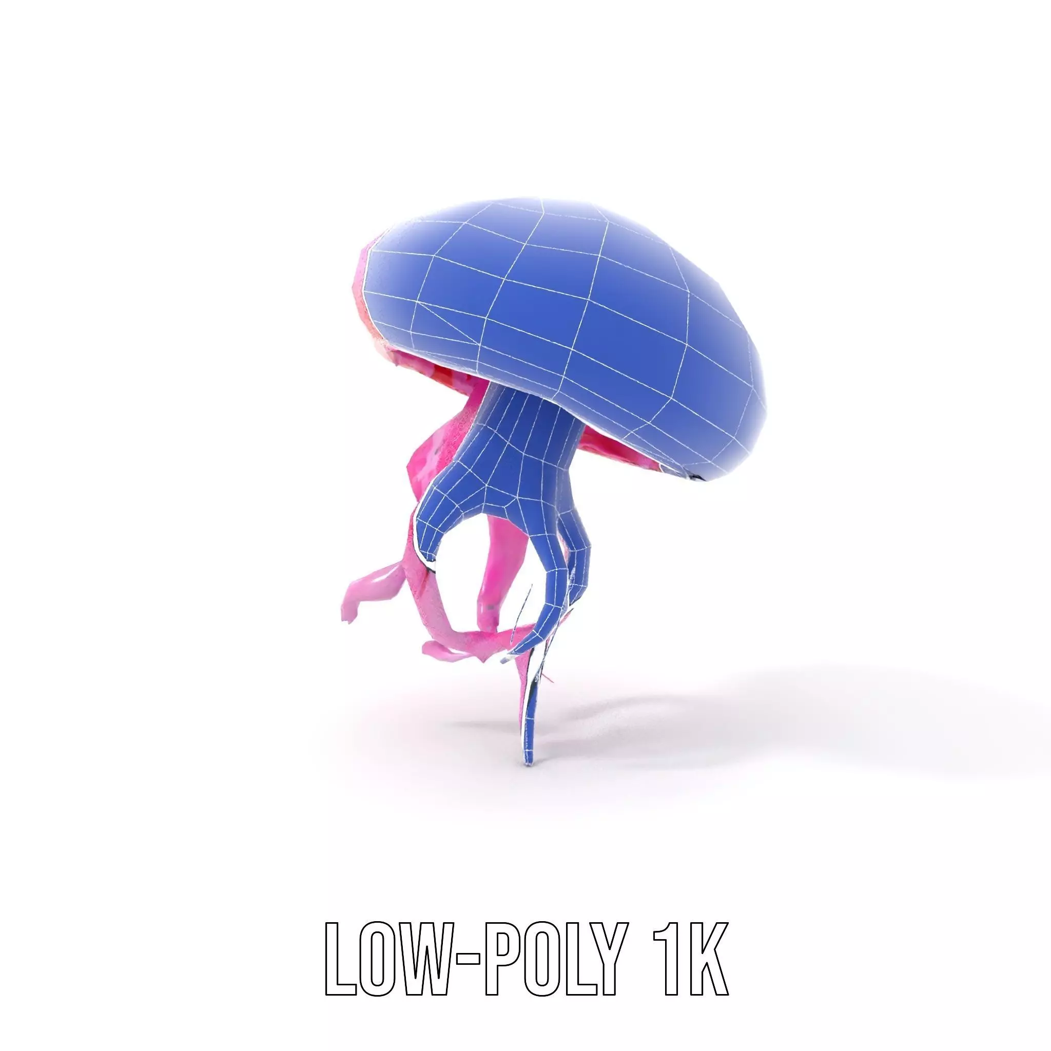 Vibrant Jellyfish model pack Low-poly 3D model_17