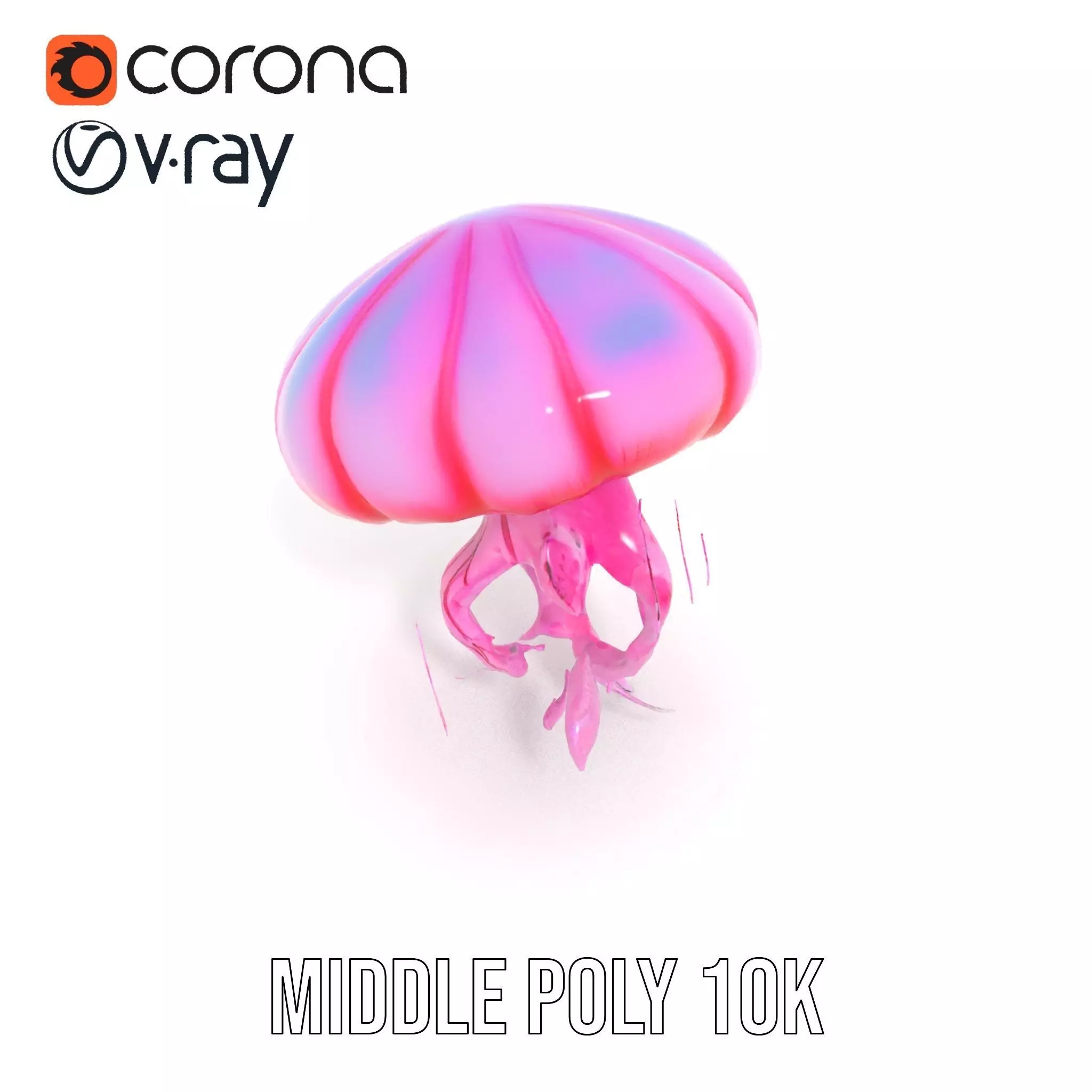 Vibrant Jellyfish model pack Low-poly 3D model_6