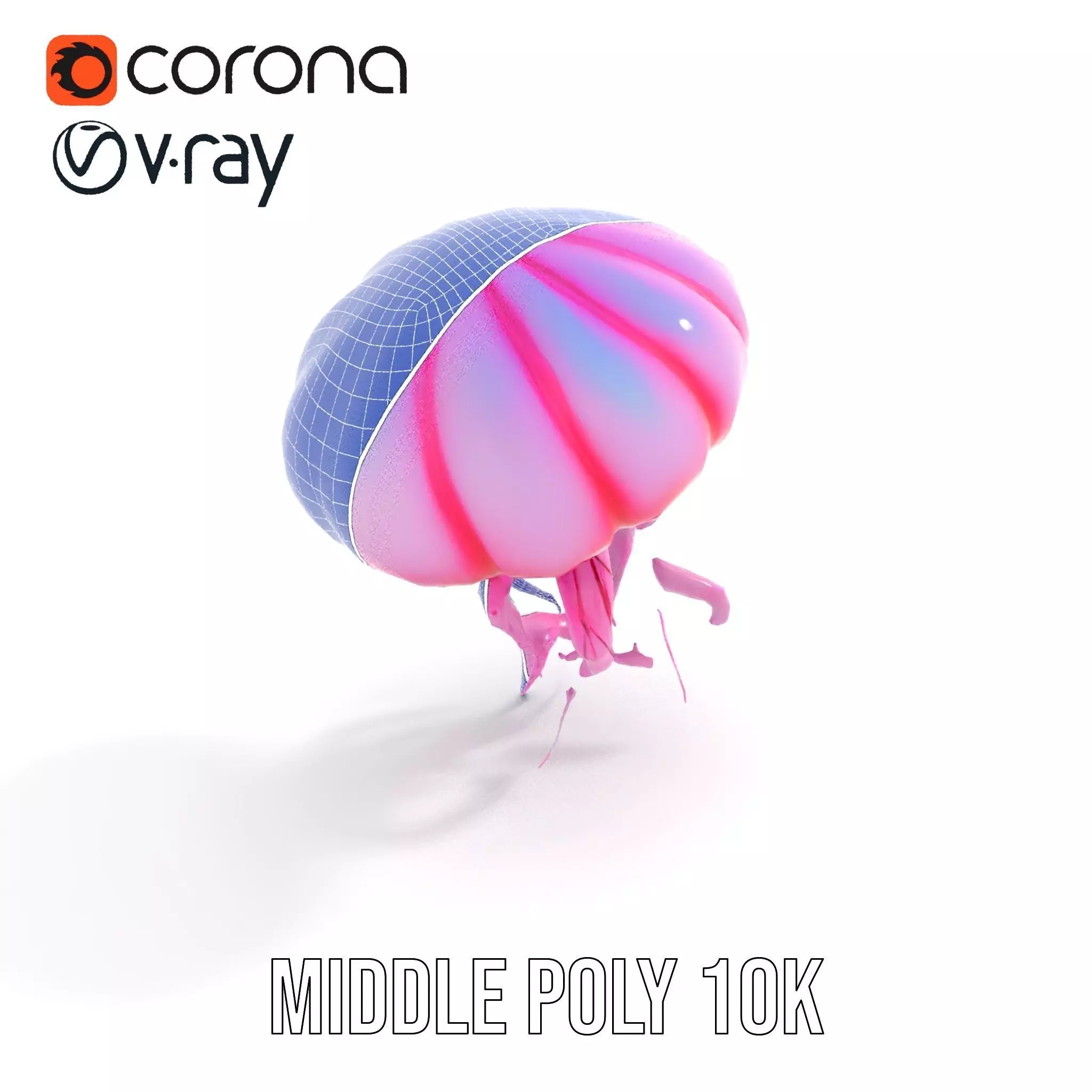 Vibrant Jellyfish model pack Low-poly 3D model_26