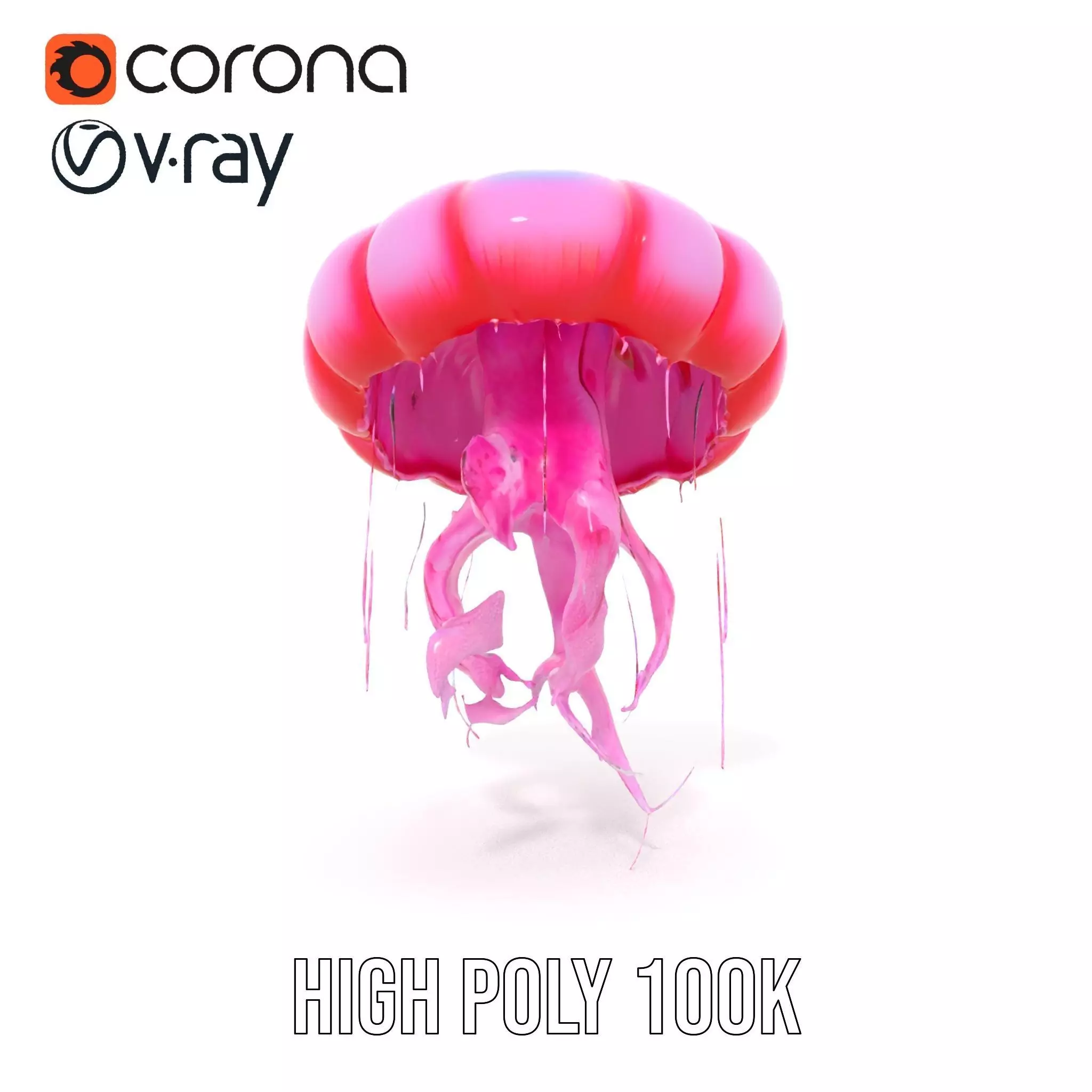 Vibrant Jellyfish model pack Low-poly 3D model_20