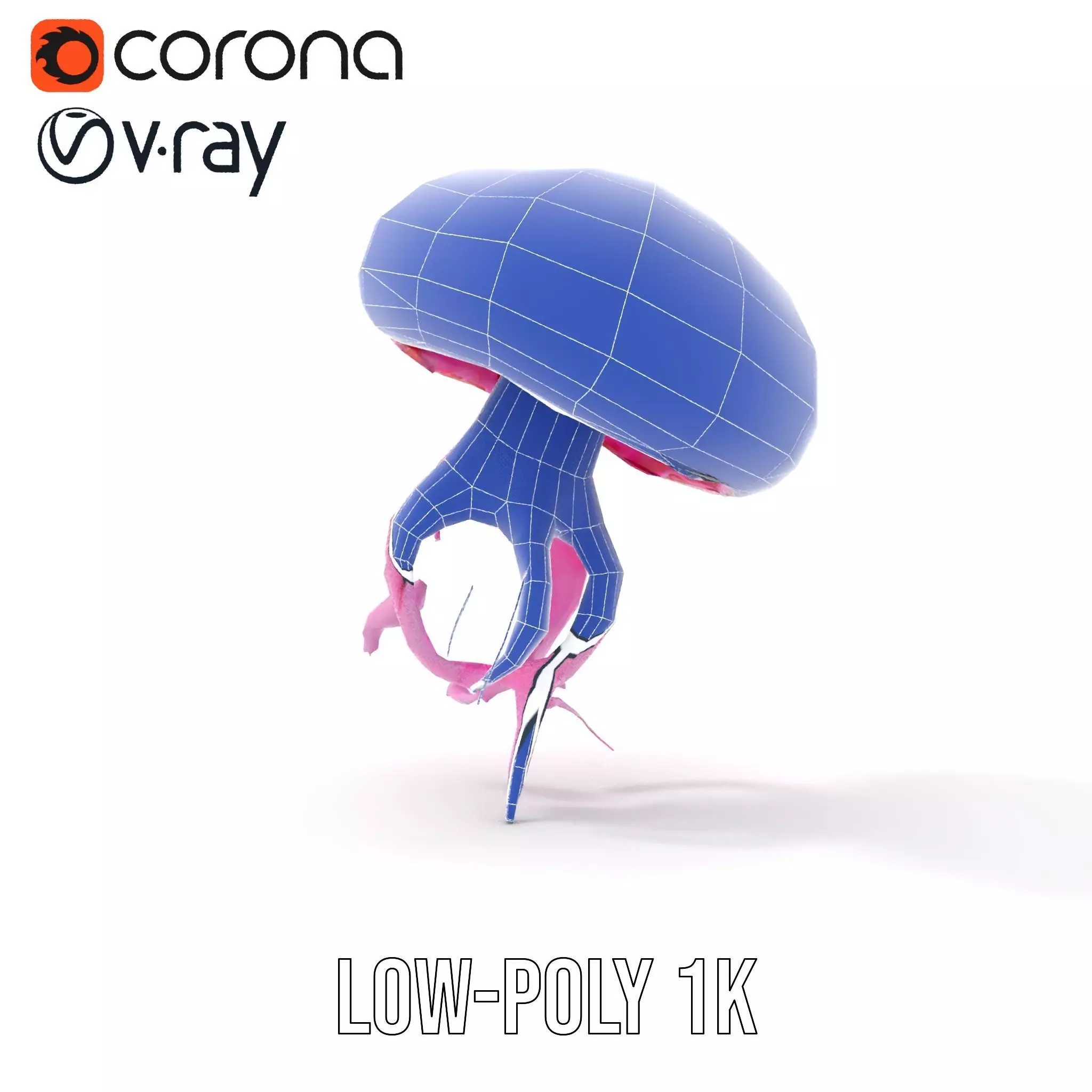 Vibrant Jellyfish model pack Low-poly 3D model_30