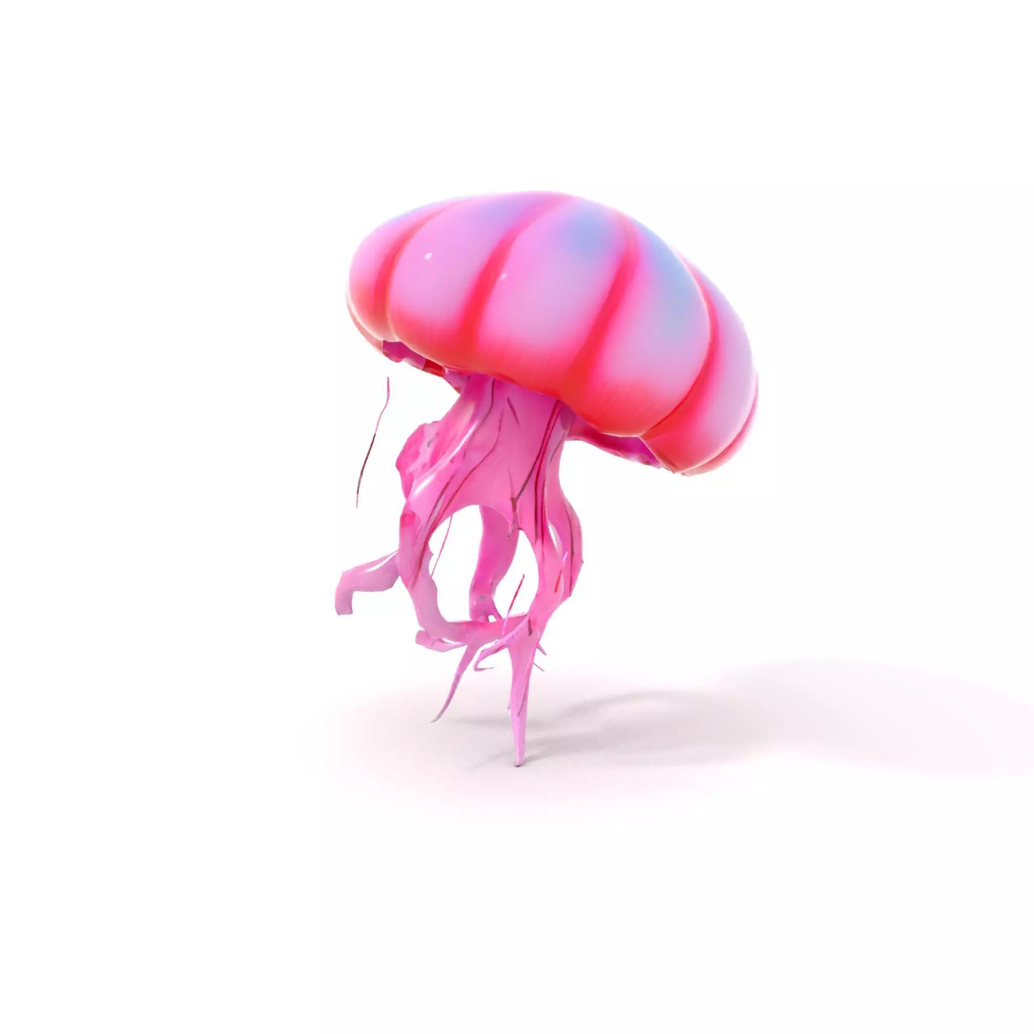 Vibrant Jellyfish model pack Low-poly 3D model_13
