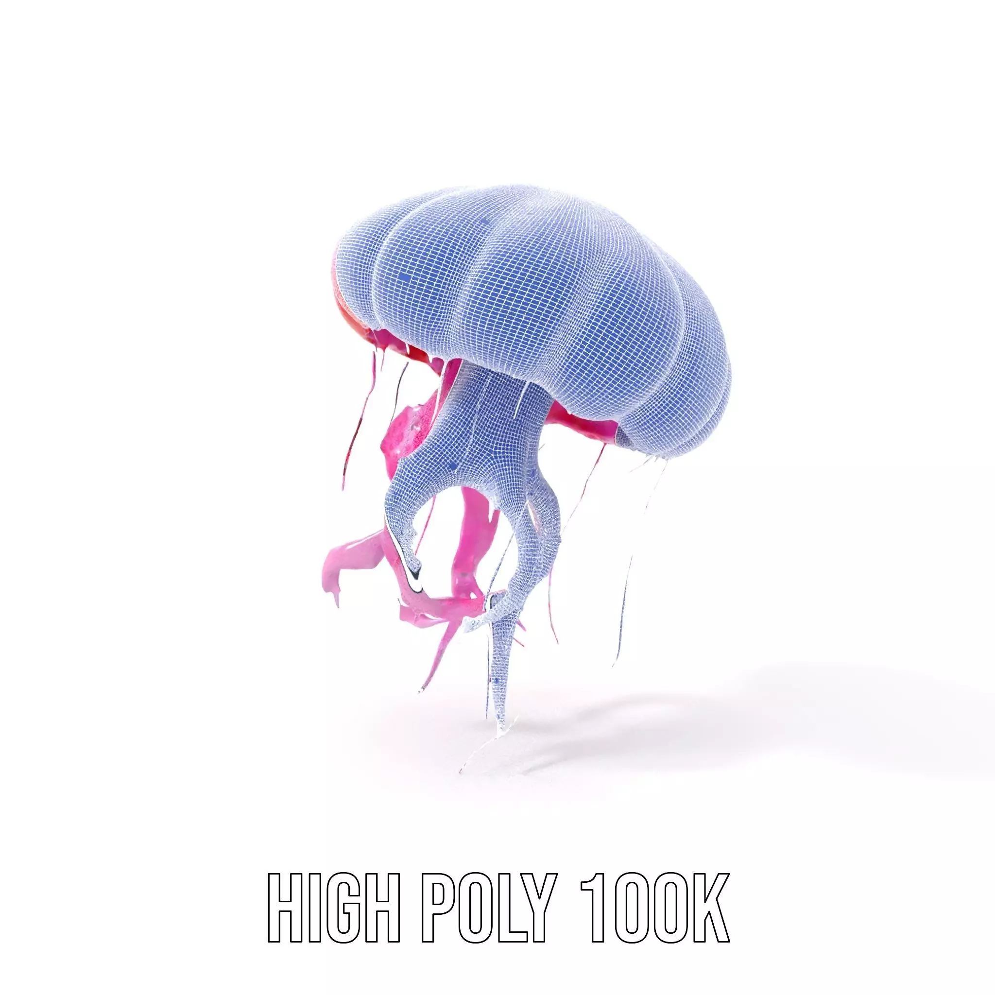 Vibrant Jellyfish model pack Low-poly 3D model_4