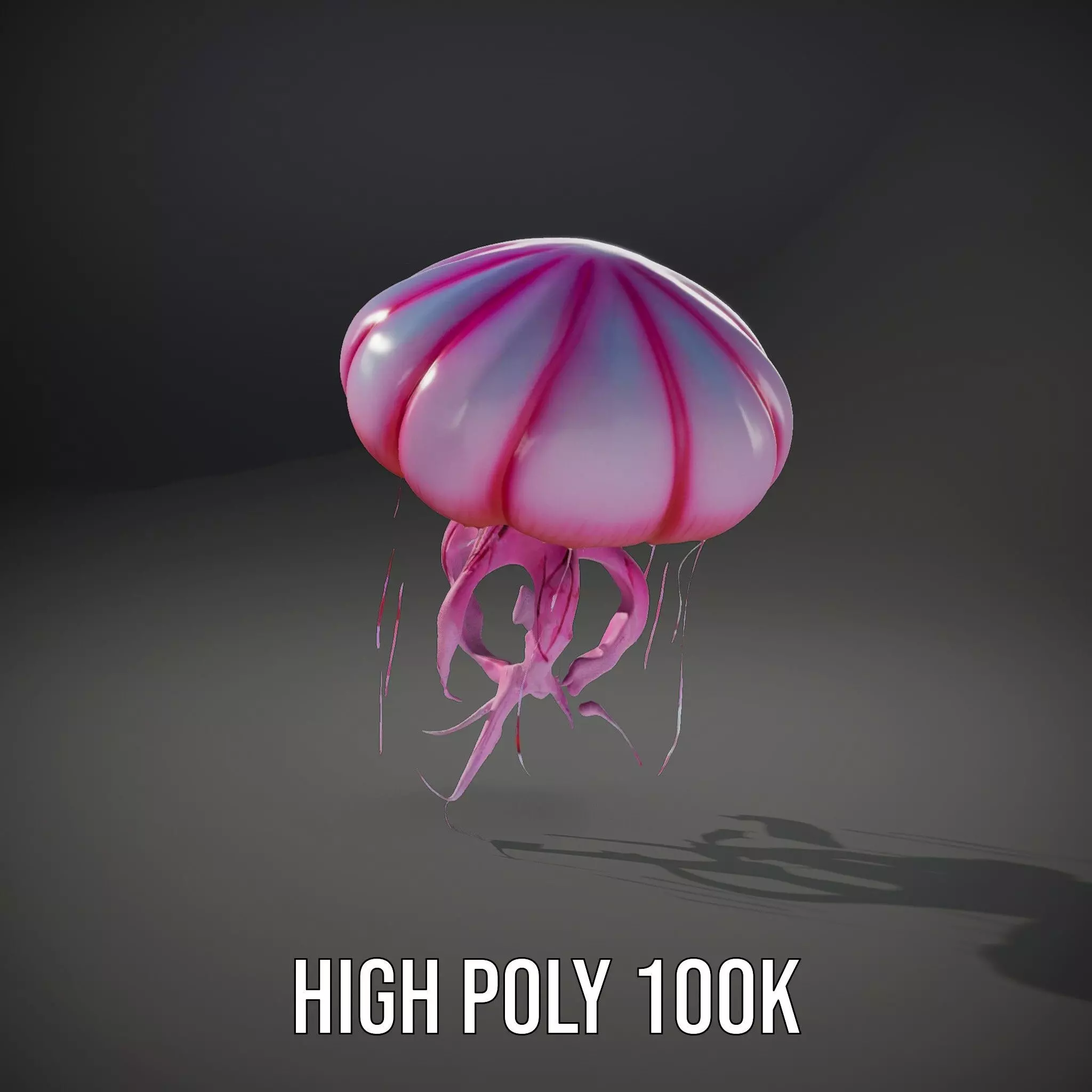Vibrant Jellyfish model pack Low-poly 3D model_8