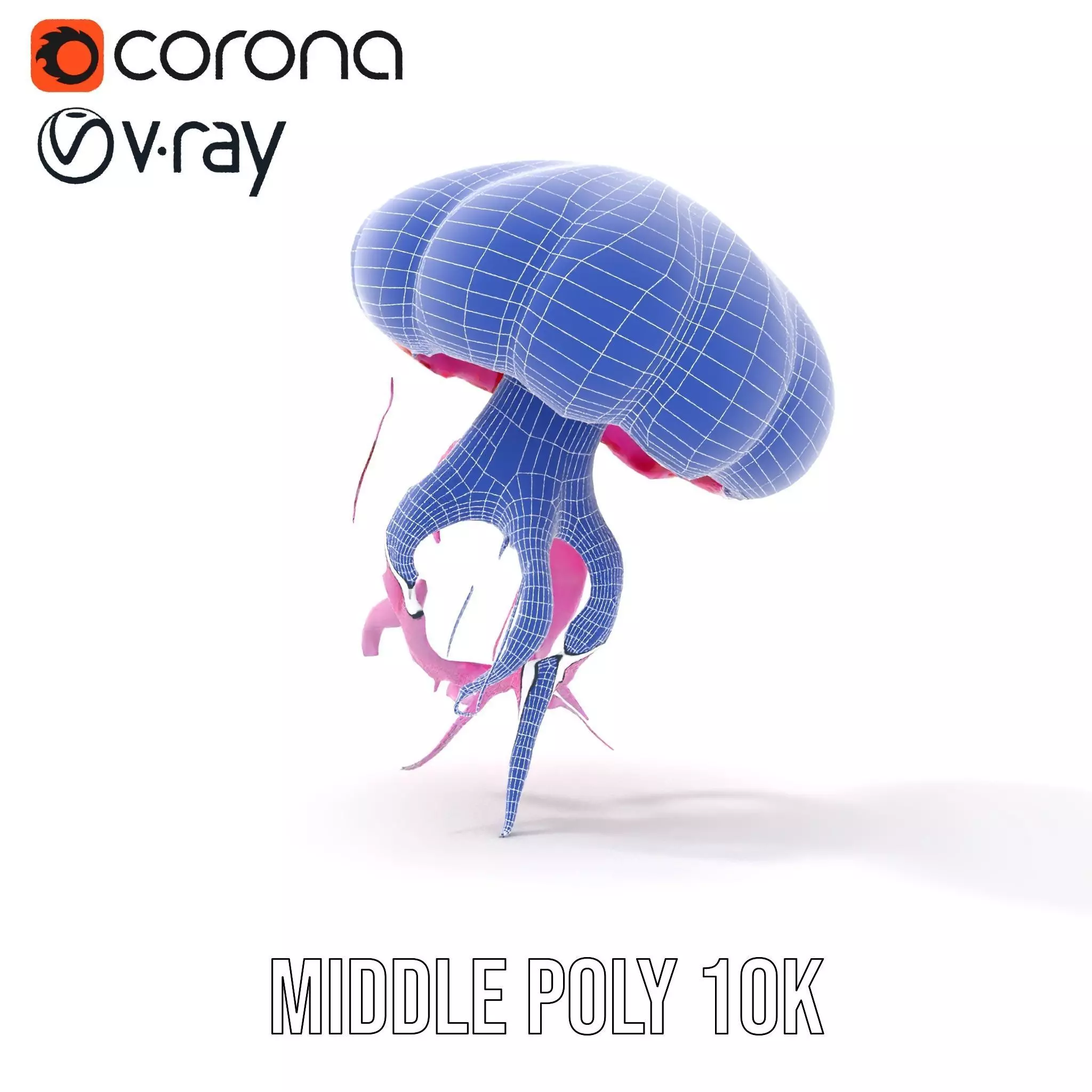 Vibrant Jellyfish model pack Low-poly 3D model_29