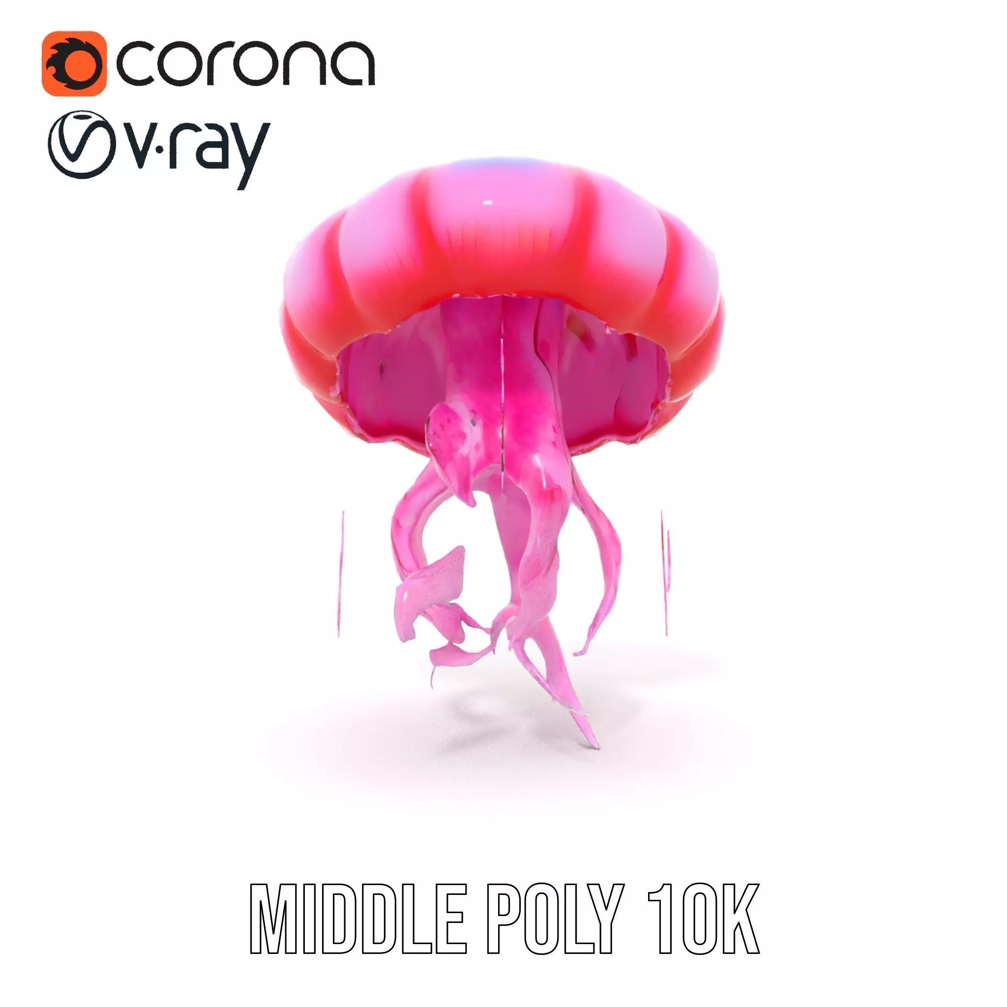 Vibrant Jellyfish model pack Low-poly 3D model_11