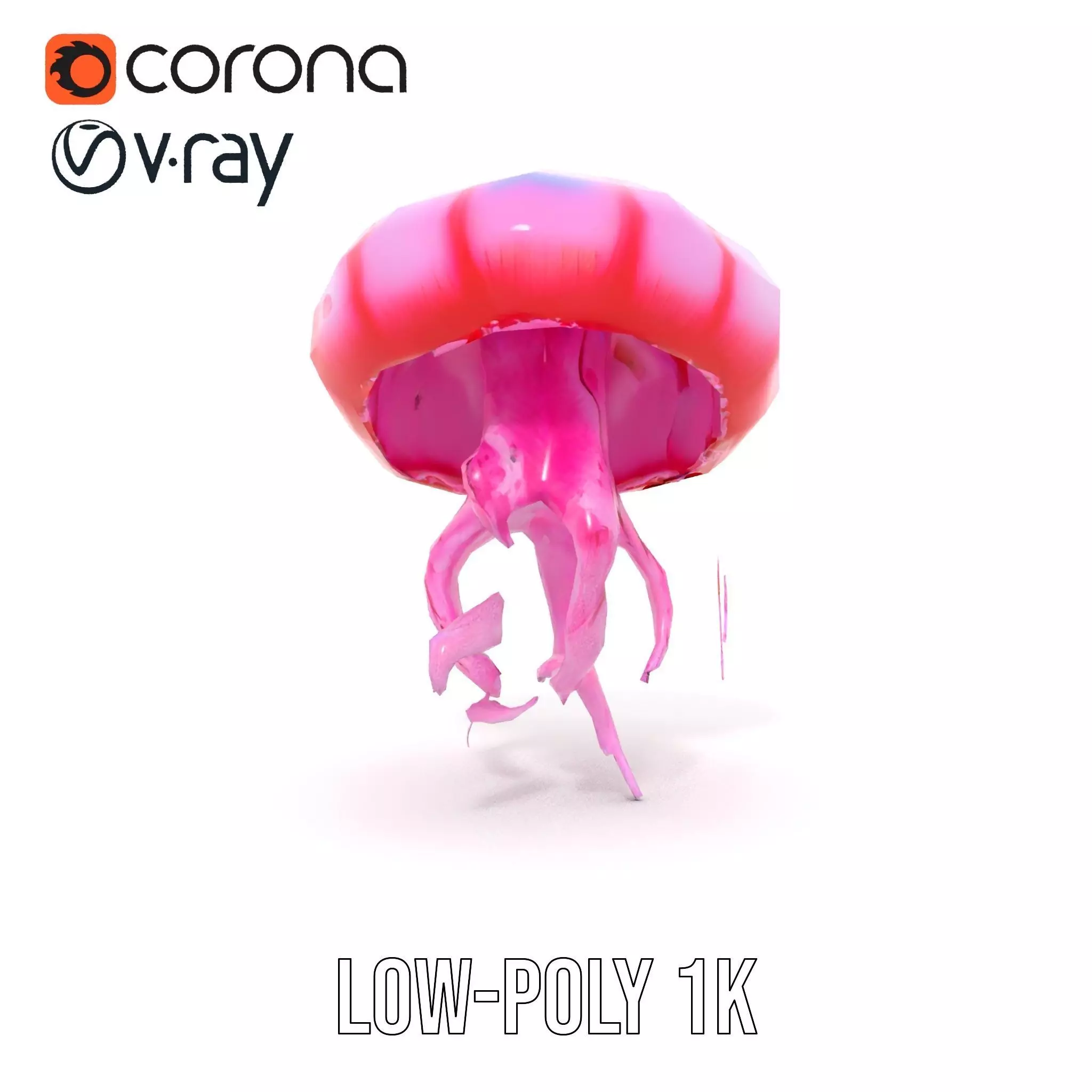 Vibrant Jellyfish model pack Low-poly 3D model_22