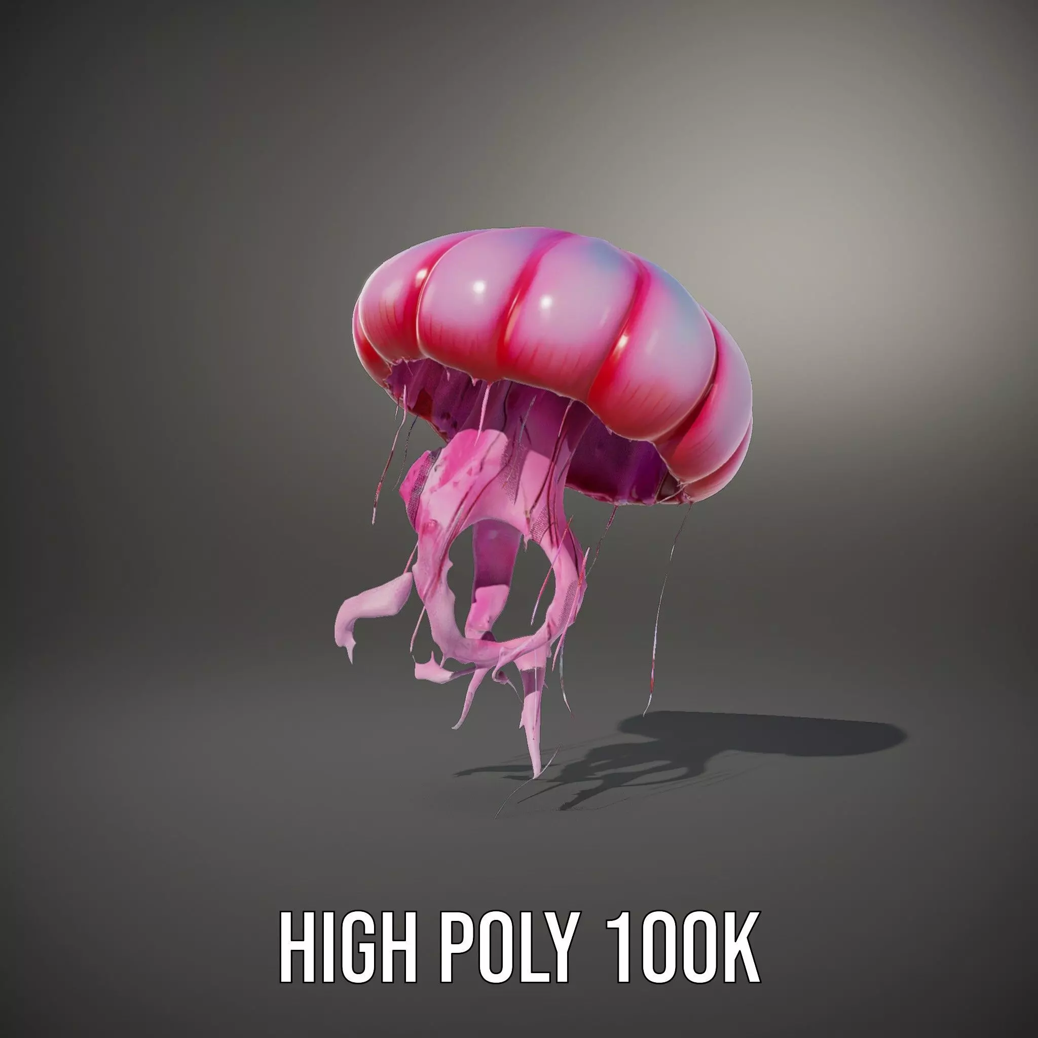 Vibrant Jellyfish model pack Low-poly 3D model_10