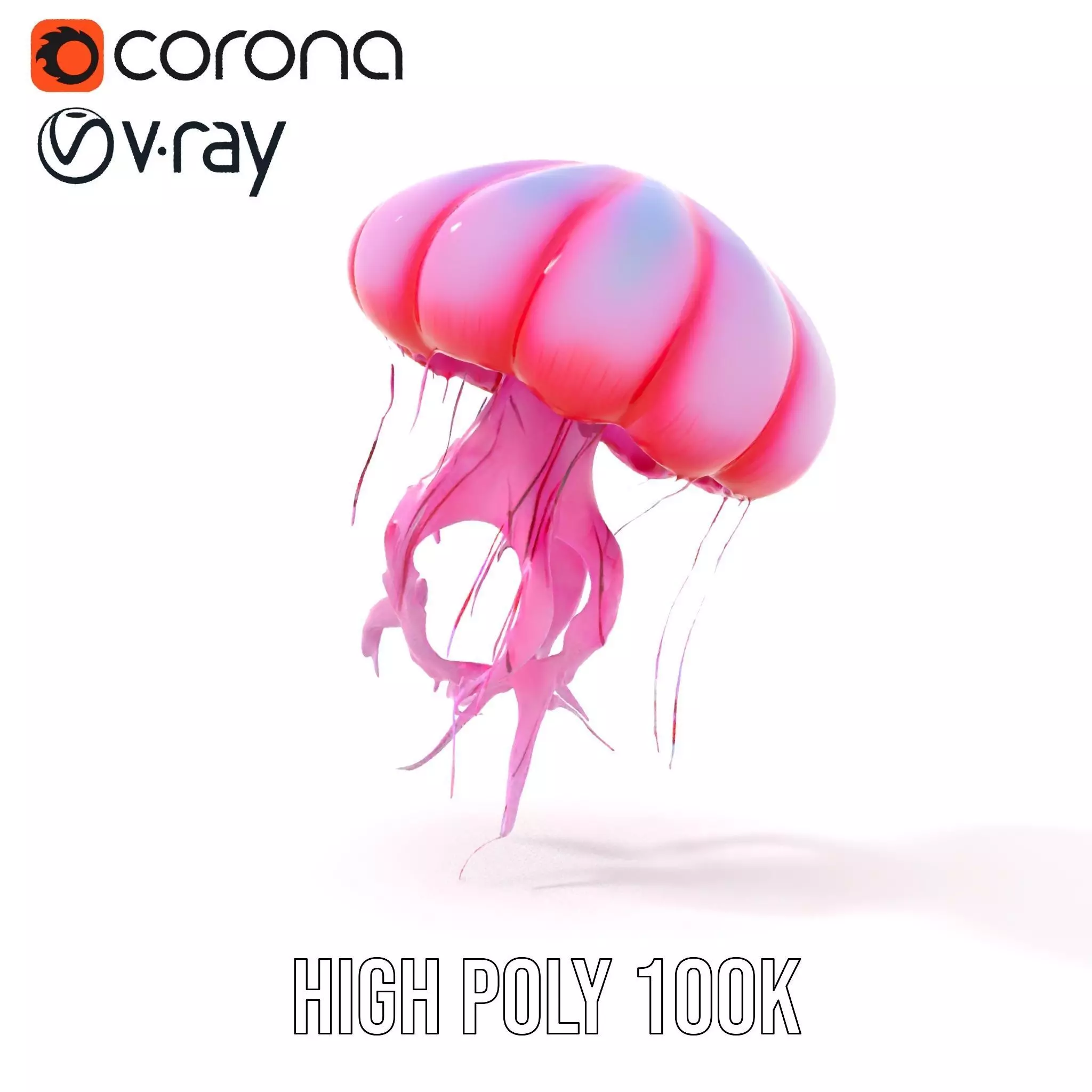 Vibrant Jellyfish model pack Low-poly 3D model_31