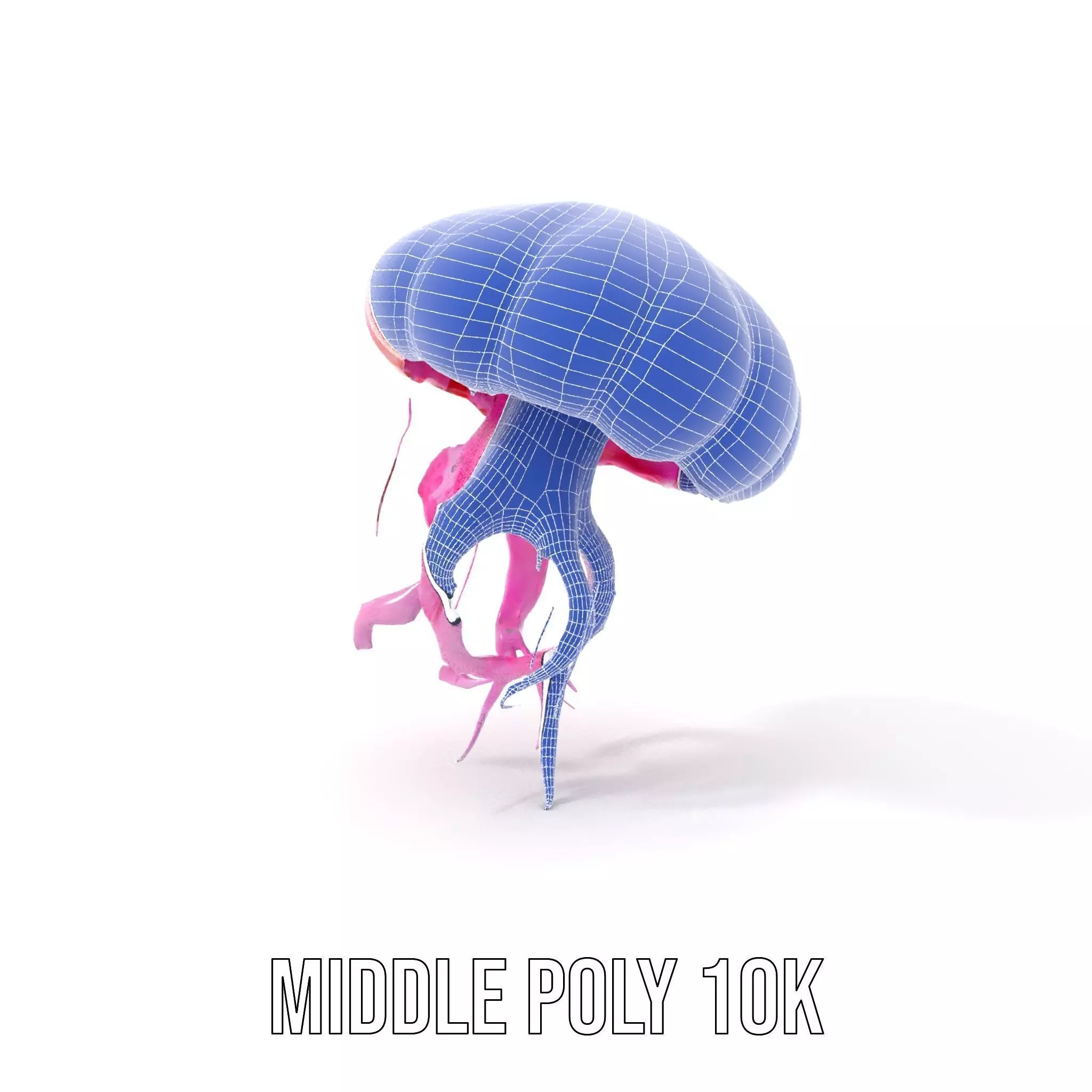 Vibrant Jellyfish model pack Low-poly 3D model_18