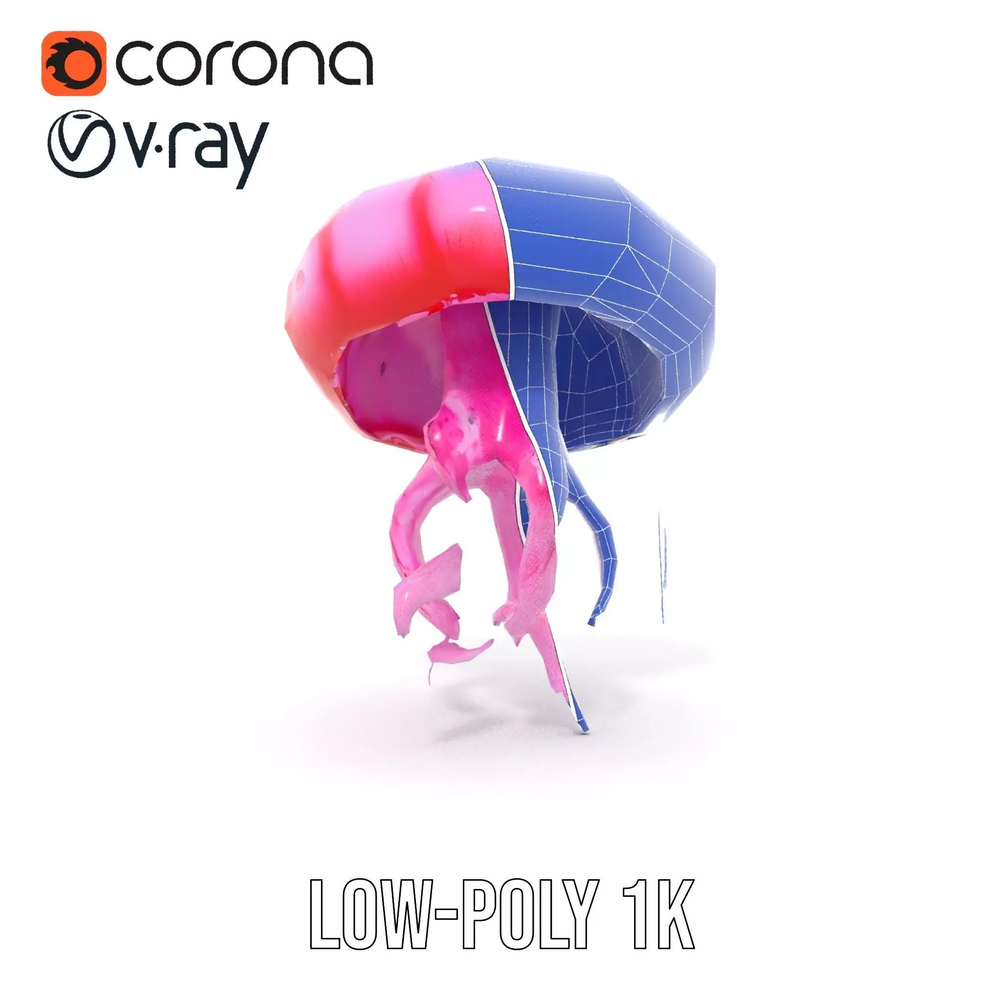 Vibrant Jellyfish model pack Low-poly 3D model_19
