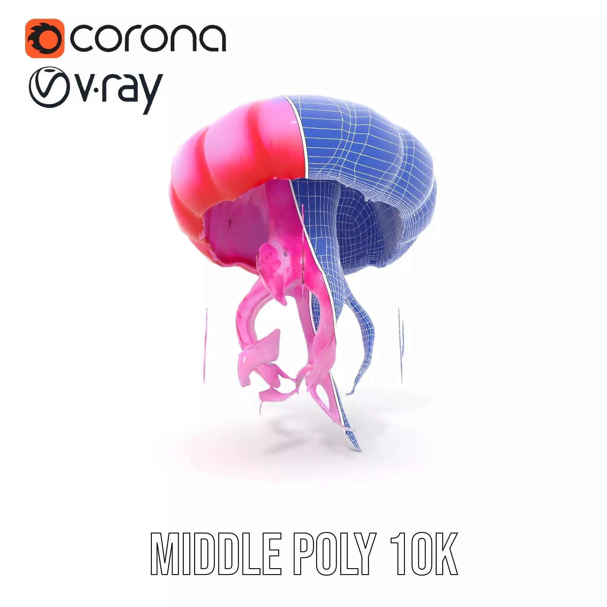 Vibrant Jellyfish model pack Low-poly 3D model_21