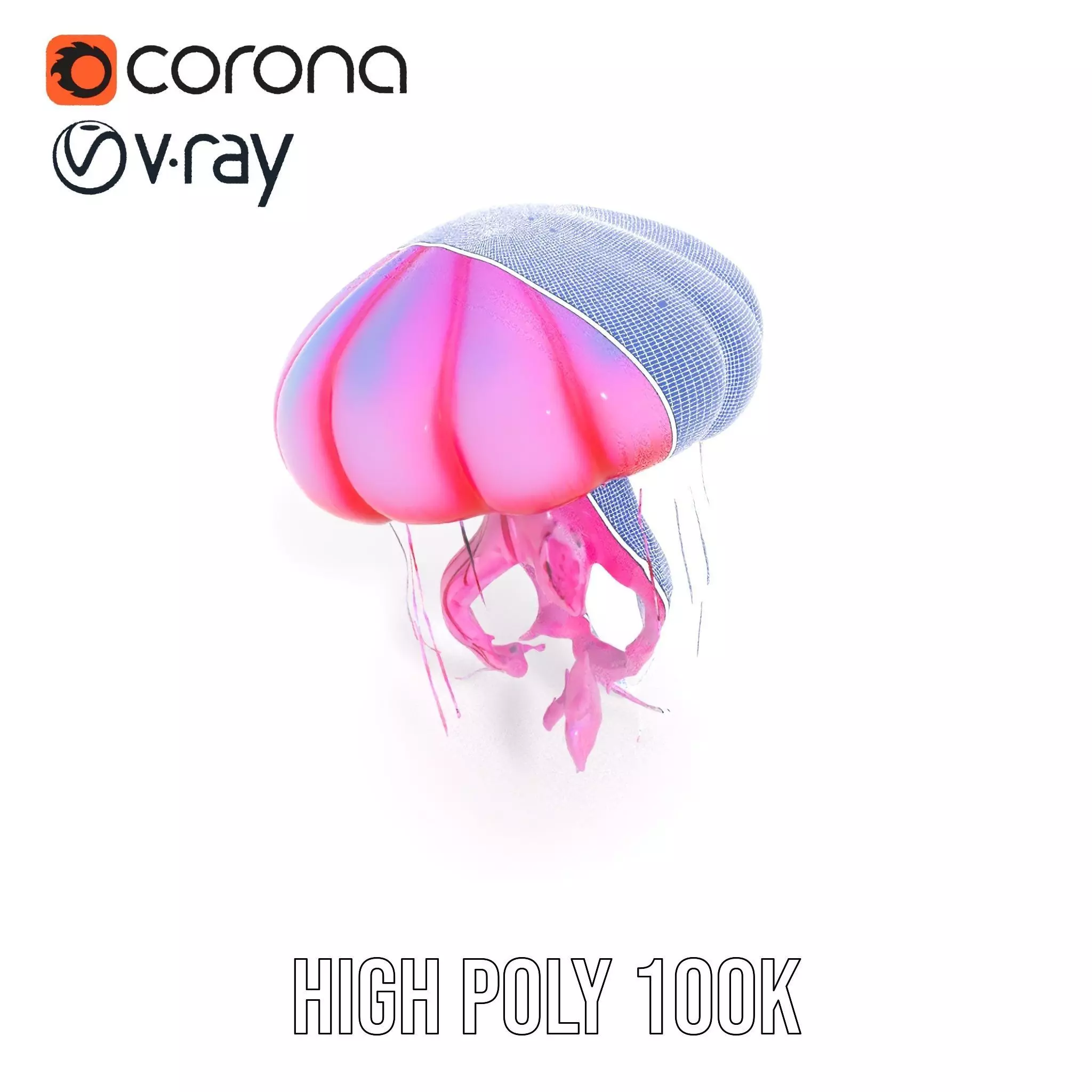 Vibrant Jellyfish model pack Low-poly 3D model_32
