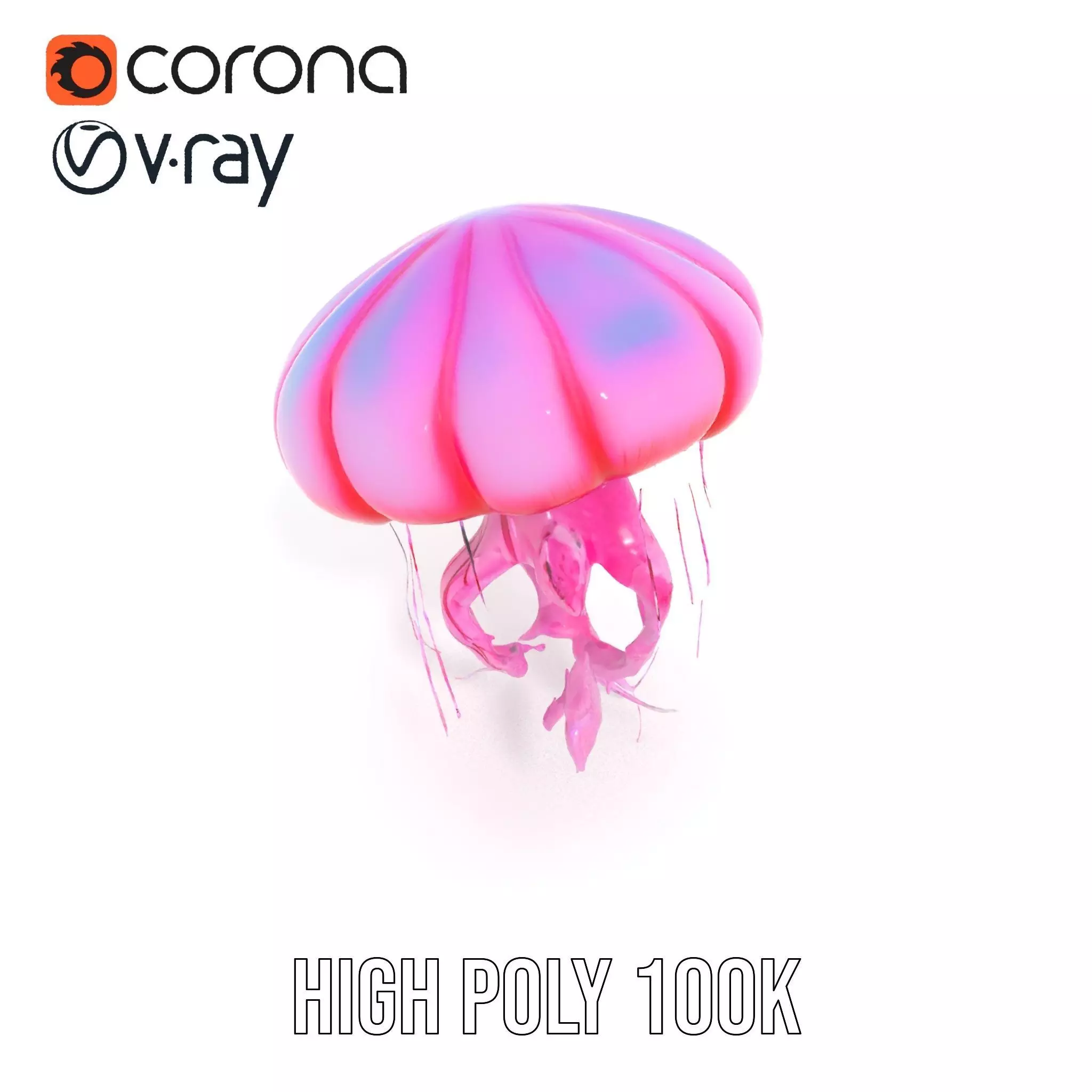 Vibrant Jellyfish model pack Low-poly 3D model_25
