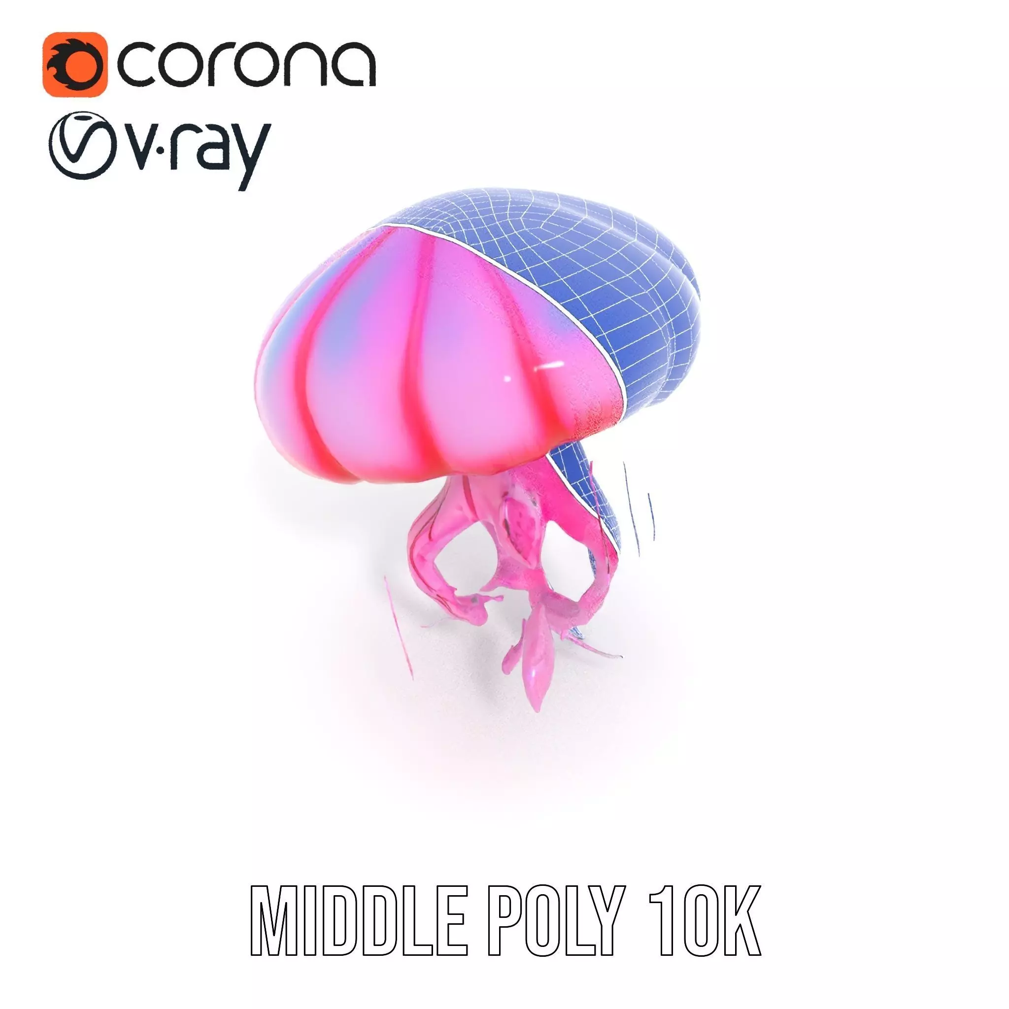 Vibrant Jellyfish model pack Low-poly 3D model_23